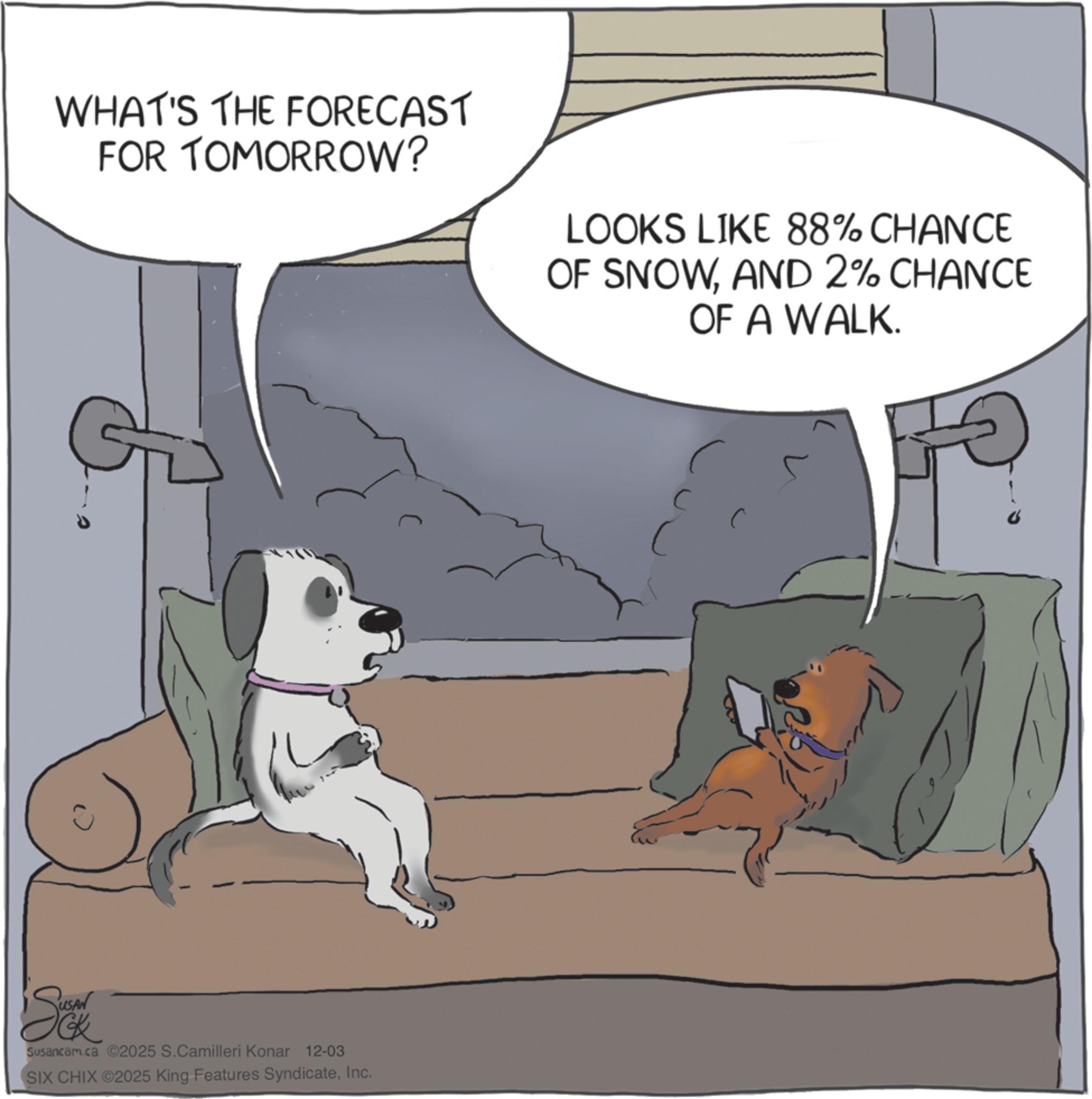 Photo caption OCR: WHAT'S THE FORECAST FOR TOMORROW? Sok Susancam.ca 2025 S.Camilleri Konar 12-03 SIX CHIX ©2025 King Features SyndicateInc. LOOKS LIKE 88% CHANCE OF SNOWAND 2% CHANCE OF A WALK. WHAT'S THE FORECAST FOR TOMORROW ? Sok Susancam.ca 2025 S.Camilleri Konar 12-03 SIX CHIX © 2025 King Features SyndicateInc. LOOKS LIKE 88 % CHANCE OF SNOWAND 2 % CHANCE OF A WALK .