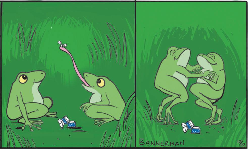 Tree frog OCR: BANNERMAN 12/22 BANNERMAN 12/22