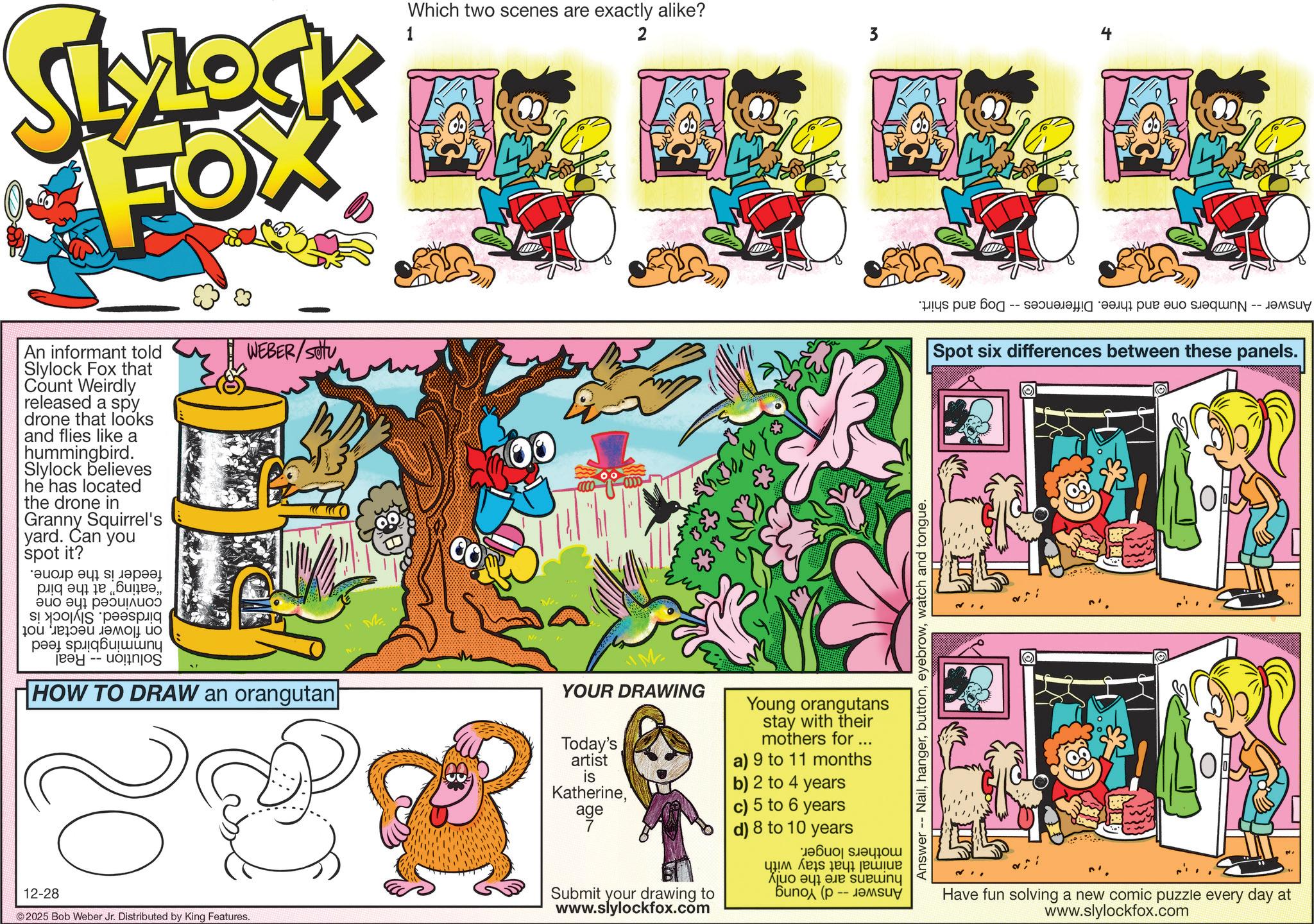 Graphics OCR: 2 SLYLOCK FOX Which two scenes are exactly alike? 1 3 ????? An informant told Slylock Fox that Count Weirdly released a spy drone that looks and flies like a hummingbird. Slylock believes he has located the drone in Granny Squirrel's yard. Can you spot it? ???? ? ???? ????????? ?? ??????? 10? ????? ????? ?? ?? ?????? Jay -- WEBER/SOU HOW TO DRAW an orangutan 12-28 2025 Bob Weber Jr. Distributed by King Features. M YOUR DRAWING Today's artist is Katherineage Submit your drawing to www.slylockfox.com Young orangutans stay with their mothers for ... a) 9 to 11 months b) 2 to 4 years c) 5 to 6 years d) 8 to 10 years ?Buon say ou ??? ????? ????? ??? ? ??? sueiny ????? (? -- ????? Answer Nailwatch and tongue. *!? ?ue ??? -- ????? ??? ? -- Spot six differences between these panels. Have fun solving a new comic puzzle every day at www.slylockfox.com 2 SLYLOCK FOX Which two scenes are exactly alike ? 1 3 ? ?? ?? An informant told Slylock Fox that Count Weirdly released a spy drone that looks and flies like a hummingbird . Slylock believes he has located the drone in Granny Squirrel's yard . Can you spot it ? ???? ? ???? ????????? ?? ??????? 10? ????? ????? ?? ?? ?????? Jay -- WEBER / SOU HOW TO DRAW an orangutan 12-28 2025 Bob Weber Jr. Distributed by King Features . M YOUR DRAWING Today's artist is Katherineage Submit your drawing to www.slylockfox.com Young orangutans stay with their mothers for ... a ) 9 to 11 months b ) 2 to 4 years c ) 5 to 6 years d ) 8 to 10 years ? Buon say ou ??? ????? ????? ??? ? ??? sueiny ????? ( ? -- ????? Answer Nailwatch and tongue . * ! ? ?ue ??? -- ????? ??? ? -- Spot six differences between these panels . Have fun solving a new comic puzzle every day at www.slylockfox.com