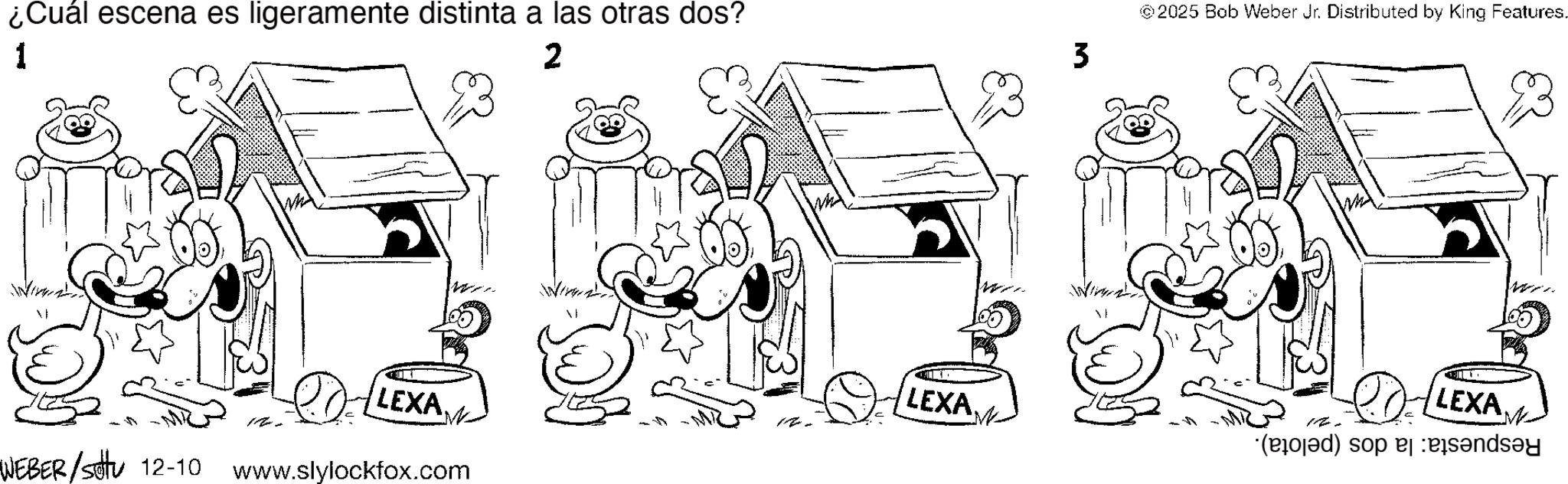 Design OCR: ¿Cuál escena es ligeramente distinta a las otras dos? 1 2 ? ???? ?? ???? ??? LEXA WEBER/settu 12-10 www.slylockfox.com LEXA3 © 2025 Bob Weber Jr. Distributed by King Features. LEXA 154 (d) so and 23 ¿ Cuál escena es ligeramente distinta a las otras dos ? 1 2 ? ???? ?? ???? ??? LEXA WEBER / settu 12-10 www.slylockfox.com LEXA3 © 2025 Bob Weber Jr. Distributed by King Features . LEXA 154 ( d ) so and 23
