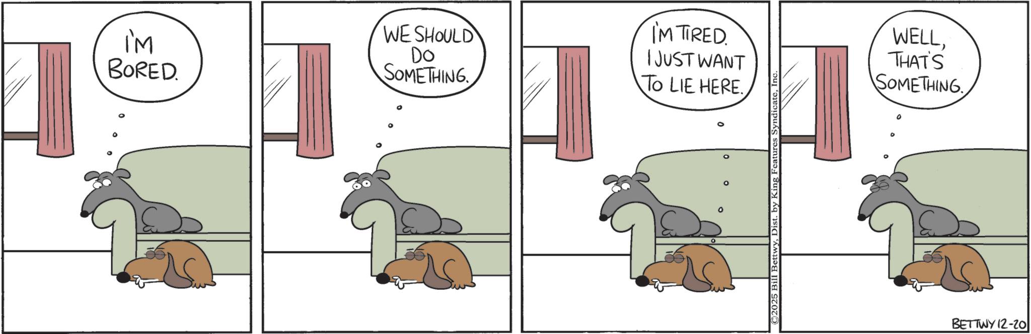 Paw OCR: IM BORED. WE SHOULD Do SOMETHING I'M TIRED I JUST WANT TO LIE HERE. ©2025 Bill BettwyInc WELLTHAT'S SOMETHING. BETTWY 12-20 IM BORED . WE SHOULD Do SOMETHING I'M TIRED I JUST WANT TO LIE HERE . © 2025 Bill BettwyDist . by King Features SyndicateInc WELLTHAT'S SOMETHING . BETTWY 12-20