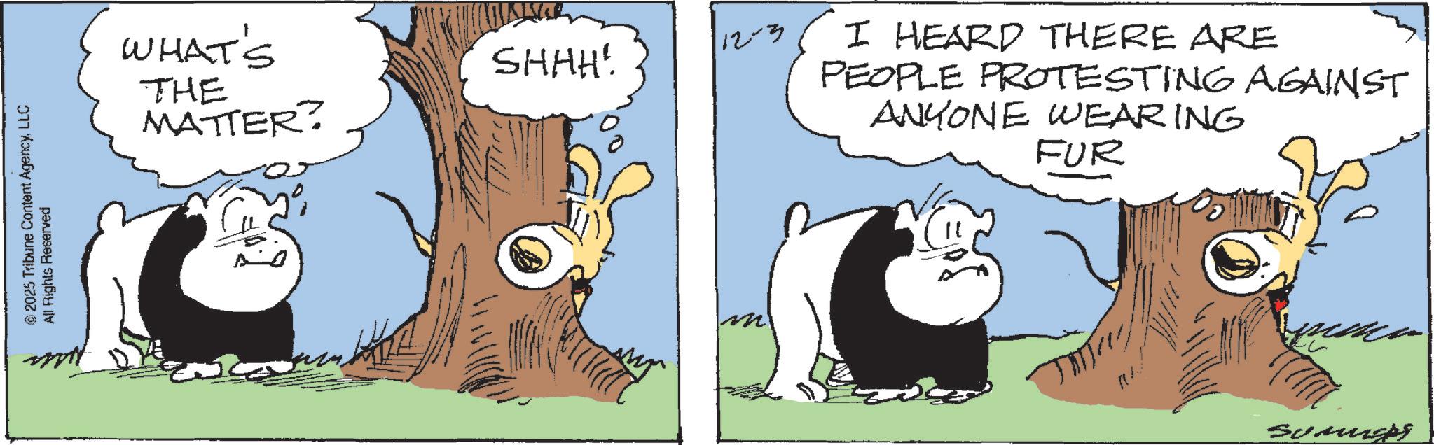 Comic book OCR: © 2025 Tribune Content AgencyLLC All Rights Reserved WHAT'S THE MATTER? ??? SHAH! 12-3 I HEARD THERE ARE PEOPLE PROTESTING AGAINST ANYONE WEARING FUR Sumugs © 2025 Tribune Content AgencyLLC All Rights Reserved WHAT'S THE MATTER ? ??? SHAH ! 12-3 I HEARD THERE ARE PEOPLE PROTESTING AGAINST ANYONE WEARING FUR Sumugs