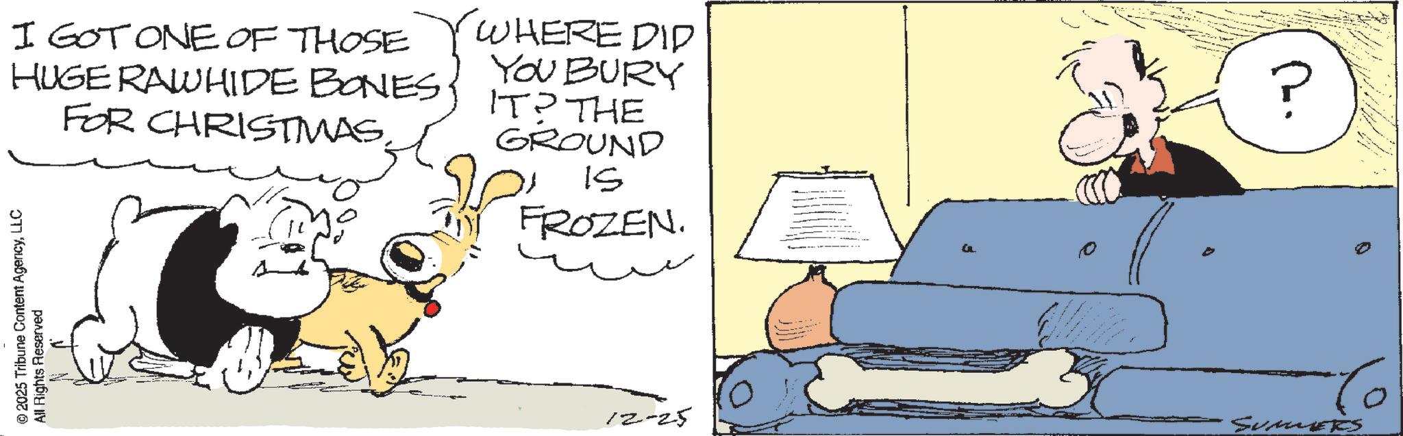 Fictional character OCR: I GOT ONE OF THOSE HUGE RAWHIDE BONES FOR CHRISTMAS(WHERE DID YOU BURY IT? THE GROUND IS FROZEN. © 2025 Tribune Content AgencyLLC All Rights Reserved 12-25 0 SUMMERS I GOT ONE OF THOSE HUGE RAWHIDE BONES FOR CHRISTMAS( WHERE DID YOU BURY IT ? THE GROUND IS FROZEN . © 2025 Tribune Content AgencyLLC All Rights Reserved 12-25 0 SUMMERS