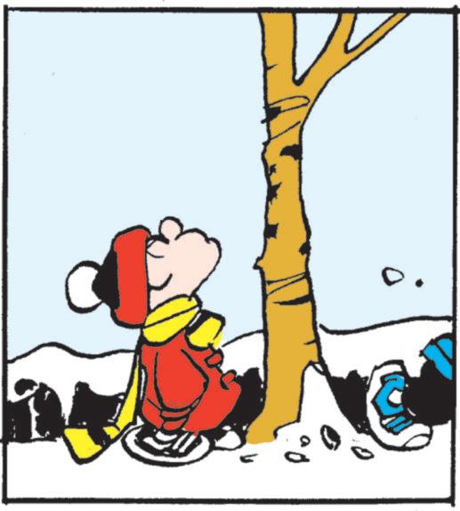 Tiger - Part 2 - 2025-12-18