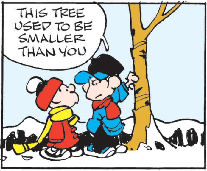 Clip art OCR: THIS TREE USED TO BE SMALLER THAN YOU 10 THIS TREE USED TO BE SMALLER THAN YOU 10