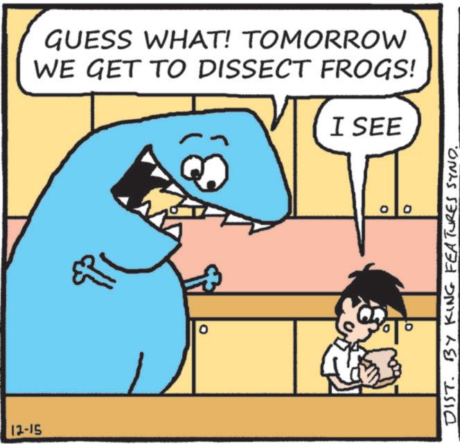 Cartoon OCR: 12-15 GUESS WHAT! TOMORROW WE GET TO DISSECT FROGS! I SEE ° DIST. BY KING FEATURES SYND. 12-15 GUESS WHAT ! TOMORROW WE GET TO DISSECT FROGS ! I SEE ° DIST . BY KING FEATURES SYND .