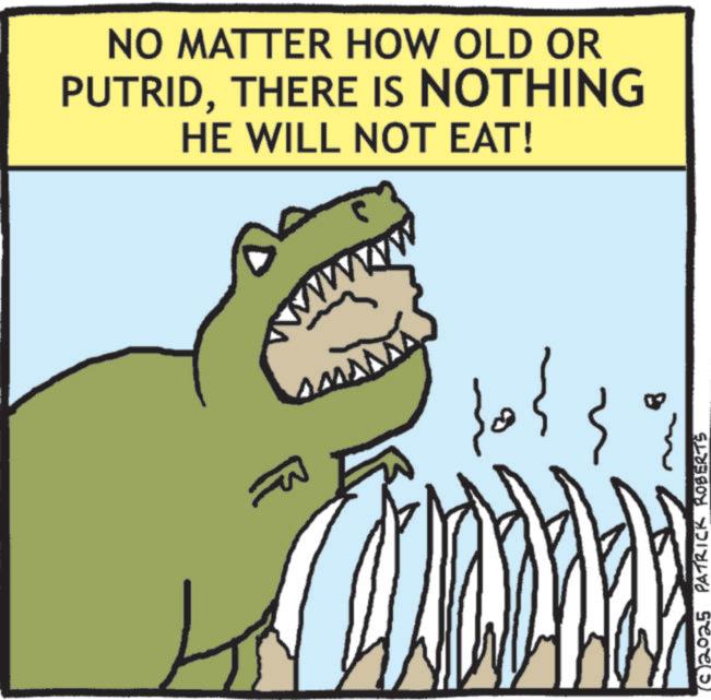 Graphics OCR: NO MATTER HOW OLD OR PUTRIDTHERE IS NOTHING HE WILL NOT EAT! ?? ??? ?? 2025 PATRICK ROBERTS NO MATTER HOW OLD OR PUTRIDTHERE IS NOTHING HE WILL NOT EAT ! ?? ??? ?? 2025 PATRICK ROBERTS