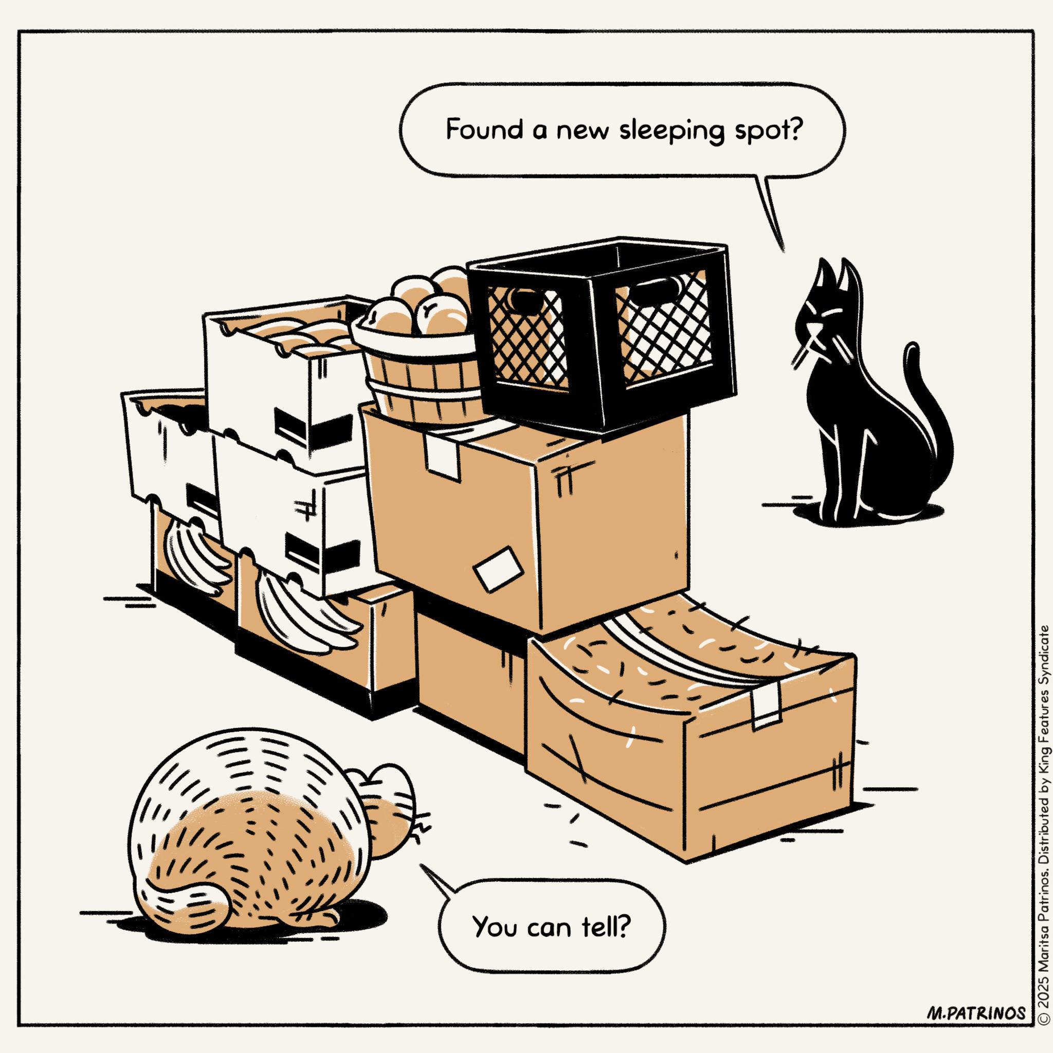 Tail OCR: ? You can tell? M.PATRINOS Found a new sleeping spot? © 2025 Maritsa Patrinos. Distributed by King Features Syndicate ? You can tell ? M.PATRINOS Found a new sleeping spot ? © 2025 Maritsa Patrinos . Distributed by King Features Syndicate