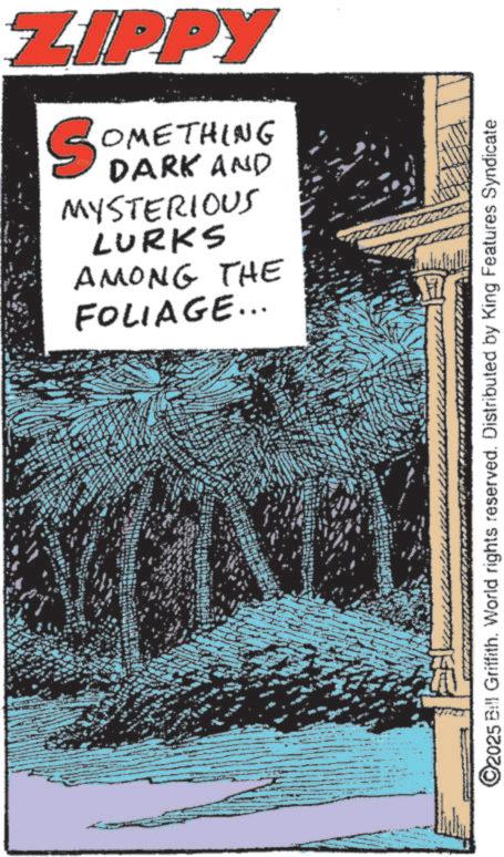 Graphic design OCR: ZIPPY FOLIAGE... LURKS AMONG THE SOME MYSTERIOUS DARK AND OMETHING ©2025 Bill Griffith. World rights reserved. Distributed by King Features Syndicate ZIPPY FOLIAGE ... LURKS AMONG THE SOME MYSTERIOUS DARK AND OMETHING © 2025 Bill Griffith . World rights reserved . Distributed by King Features Syndicate