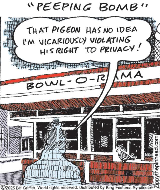 Comics OCR: "PEEPING BOMB" THAT PIGEON HAS NO IDEA I'M VICARIOUSLY VIOLATING HIS RIGHT TO PRIVACY! BOWL-O-RAMA 2025 Bill Griffith. World rights reserved. Distributed by King Features Syndicate MUNUN Zippythepinhead.com " PEEPING BOMB " THAT PIGEON HAS NO IDEA I'M VICARIOUSLY VIOLATING HIS RIGHT TO PRIVACY ! BOWL - O - RAMA 2025 Bill Griffith . World rights reserved . Distributed by King Features Syndicate MUNUN Zippythepinhead.com