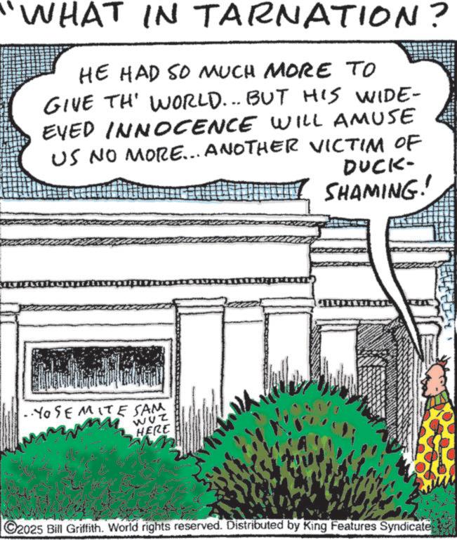 Font OCR: "WHAT IN TARNATION? HE HAD SO MUCH MORE TO GIVE TH' WORLD... BUT HIS WIDE- EYED INNOCENCE WILL AMUSE US NO MORE... ANOTHER VICTIM OF DUCK- SHAMING! ..YOSEMITE SAM WVZ HERE C2025 Bill Griffith. World rights reserved. Distributed by King Features Syndicate " WHAT IN TARNATION ? HE HAD SO MUCH MORE TO GIVE TH ' WORLD ... BUT HIS WIDE- EYED INNOCENCE WILL AMUSE US NO MORE ... ANOTHER VICTIM OF DUCK- SHAMING ! ..YOSEMITE SAM WVZ HERE C2025 Bill Griffith . World rights reserved . Distributed by King Features Syndicate