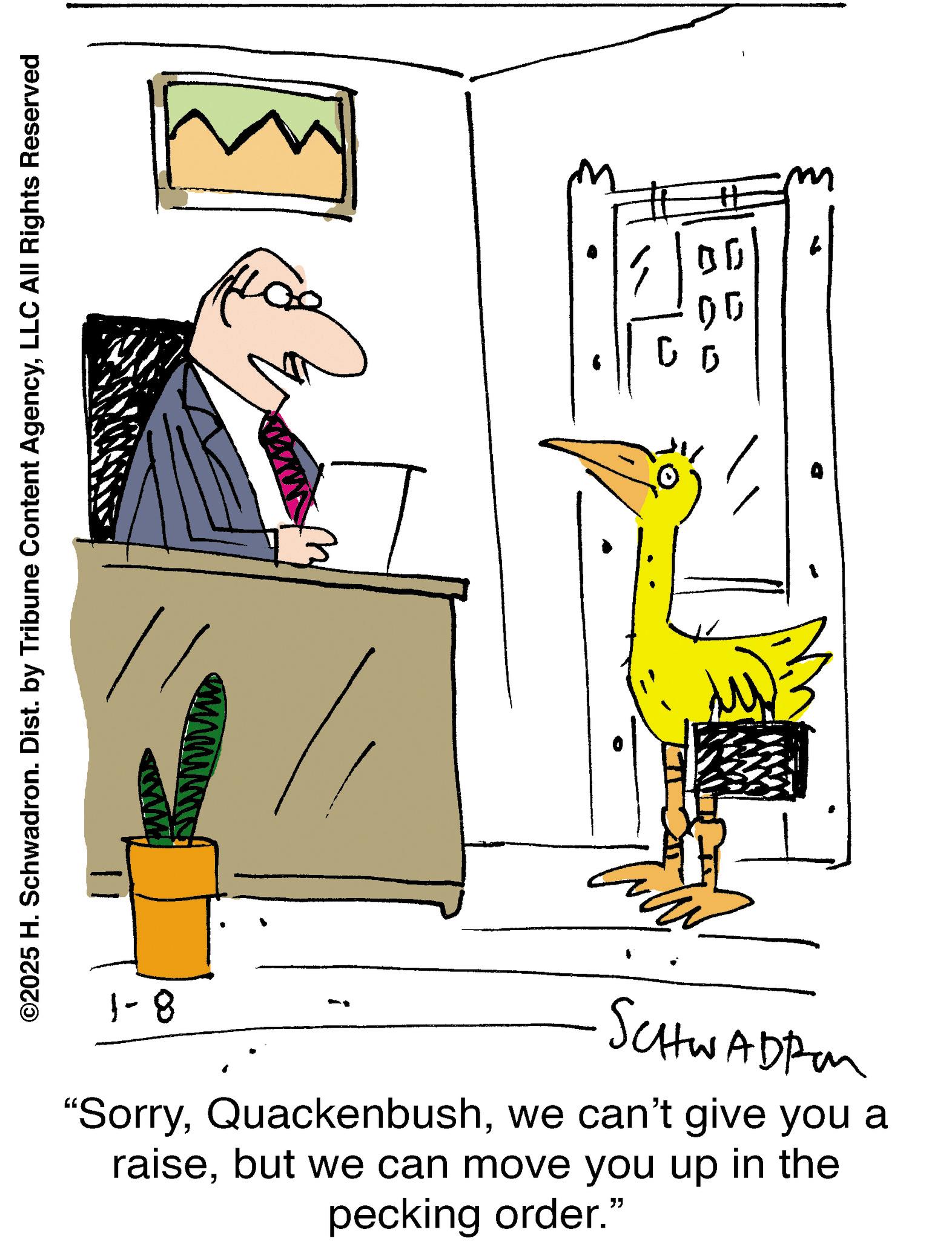 Feather OCR: ©2025 H. Schwadron. Dist. by Tribune Content AgencyLLC All Rights Reserved 1-8 00 SCHWADEM "Sorrywe can't give you a raisebut we can move you up in the pecking order." m © 2025 H. Schwadron . Dist . by Tribune Content AgencyLLC All Rights Reserved 1-8 00 SCHWADEM " Sorrywe can't give you a raisebut we can move you up in the pecking order . " m