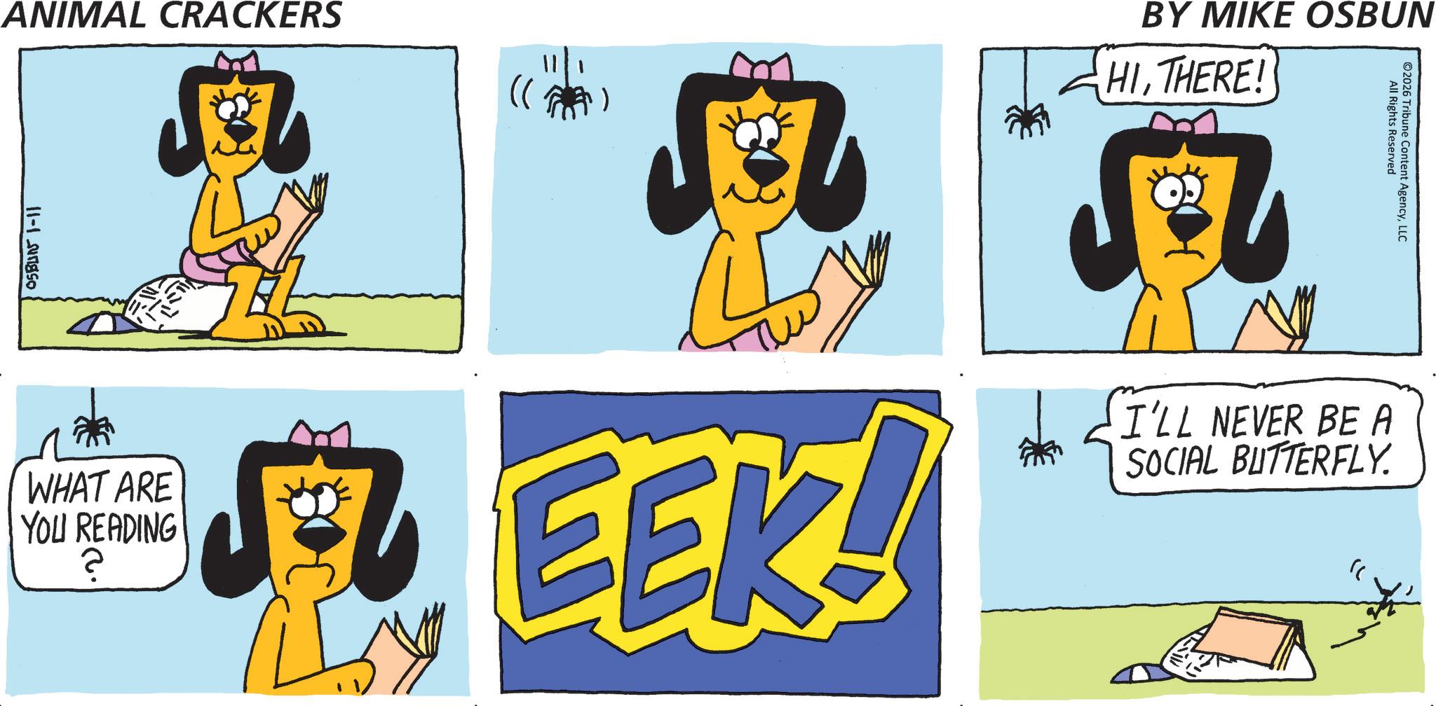 Canidae OCR: ANIMAL CRACKERS 05B4151-11 WHAT ARE YOU READING ? ? ? EEK! BY MIKE OSBUN HITHERE! I'LL NEVER BE A SOCIAL BUTTERFLY. All Rights Reserved ©2026 Tribune Content AgencyLLC ANIMAL CRACKERS 05B4151-11 WHAT ARE YOU READING ? ? ? EEK ! BY MIKE OSBUN HITHERE ! I'LL NEVER BE A SOCIAL BUTTERFLY . All Rights Reserved © 2026 Tribune Content Agency