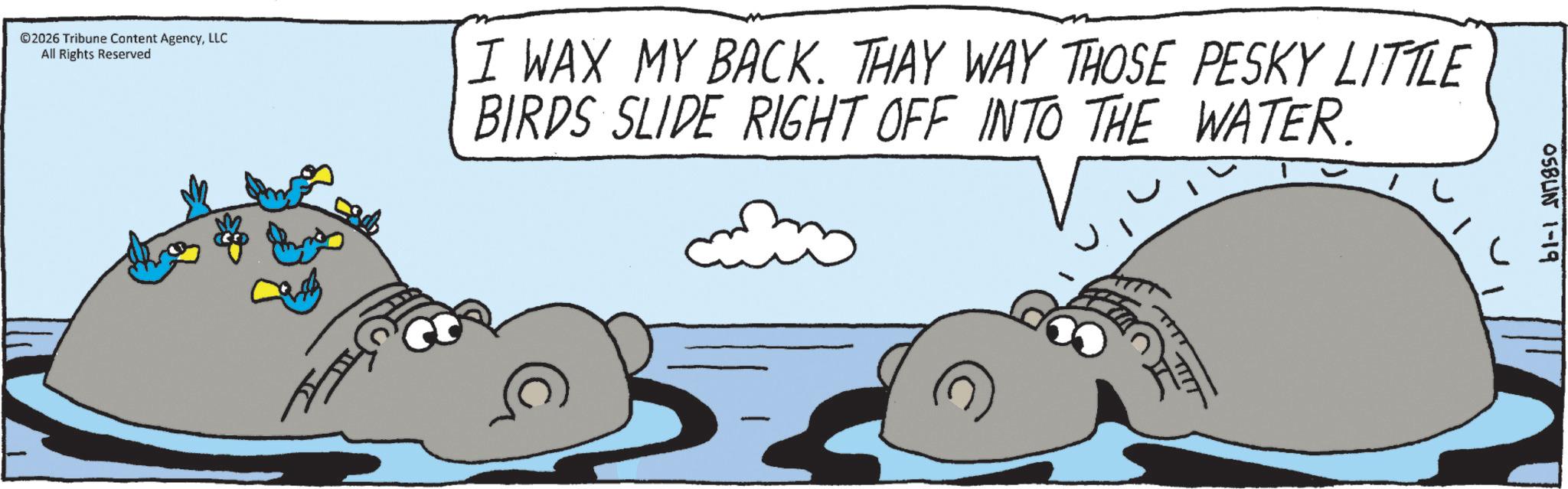 Wildlife OCR: ©2026 Tribune Content AgencyLLC All Rights Reserved I WAX MY BACK. THAY WAY THOSE PESKY LITTLE BIRDS SLIDE RIGHT OFF INTO THE WATER. 05BUN 1-19 © 2026 Tribune Content AgencyLLC All Rights Reserved I WAX MY BACK . THAY WAY THOSE PESKY LITTLE BIRDS SLIDE RIGHT OFF INTO THE WATER . 05BUN 1-19