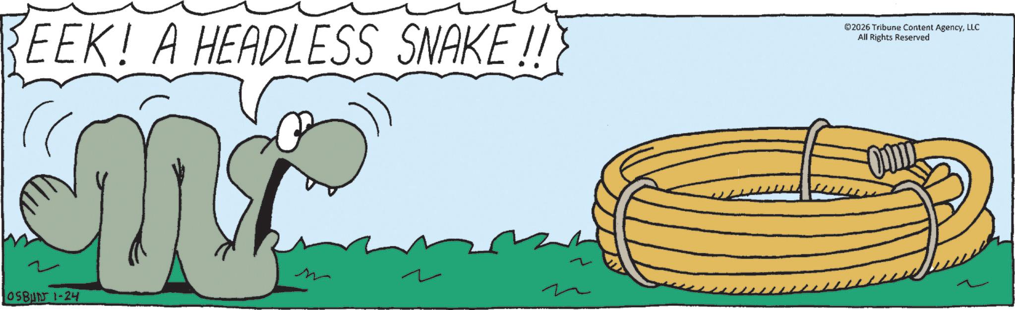 OCR: EEK! A HEADLESS SNAKE!! ©2026 Tribune Content AgencyLLC All Rights Reserved 0584 1-24 EEK ! A HEADLESS SNAKE !! © 2026 Tribune Content AgencyLLC All Rights Reserved 0584 1-24