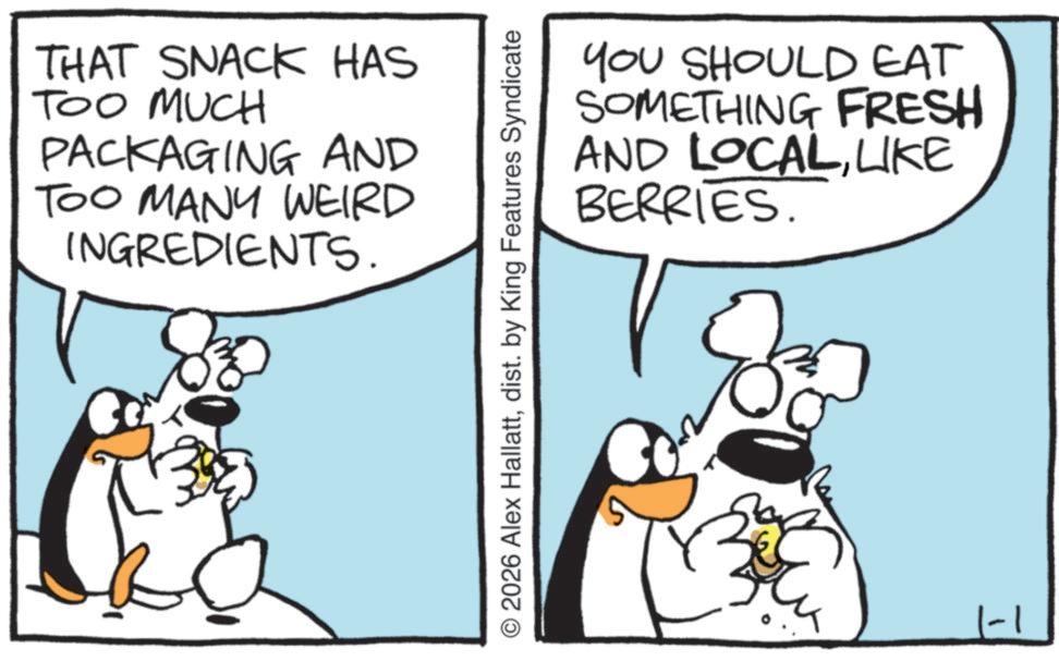 Fiction OCR: THAT SNACK HAS TOO MUCH PACKAGING AND TOO MANY WEIRD INGREDIENTS. YOU SHOULD EAT SOMETHING FRESH AND LOCALLIKE BERRIES. O2026 Alex Hallattdist. by King Features Syndicate THAT SNACK HAS TOO MUCH PACKAGING AND TOO MANY WEIRD INGREDIENTS . YOU SHOULD EAT SOMETHING FRESH AND LOCALLIKE BERRIES . O2026 Alex Hallattdist . by King Features Syndicate