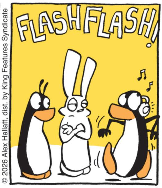 Happiness OCR: FLASH FLA © 2026 Alex Hallattdist. by King Features Syndicate FLASH FLA © 2026 Alex Hallattdist . by King Features Syndicate