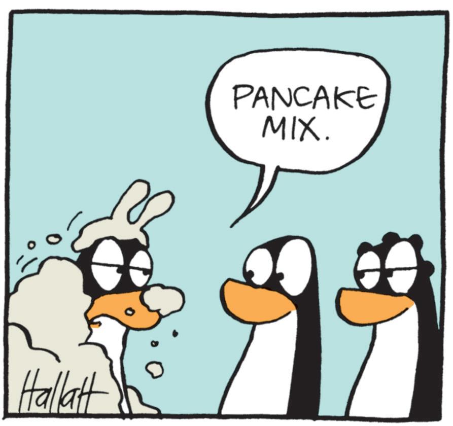 Fictional character OCR: Hallatt PANCAKE MIX. Hallatt PANCAKE MIX .