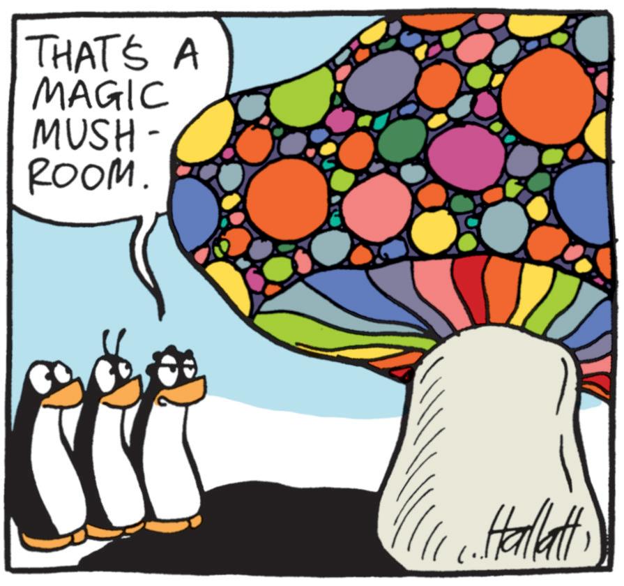 Fiction OCR: THAT'S A MAGIC MUSH- ROOM. C. HallattTHAT'S A MAGIC MUSH- ROOM . C. Hallatt