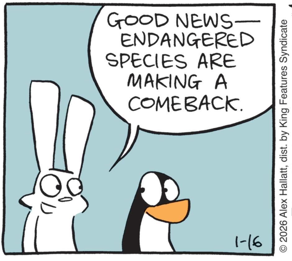 Fiction OCR: GOOD NEWS- ENDANGERED SPECIES ARE MAKING A COMEBACK. 1-16 © 2026 Alex Hallattdist. by King Features Syndicate GOOD NEWS- ENDANGERED SPECIES ARE MAKING A COMEBACK . 1-16 © 2026 Alex Hallattdist . by King Features Syndicate