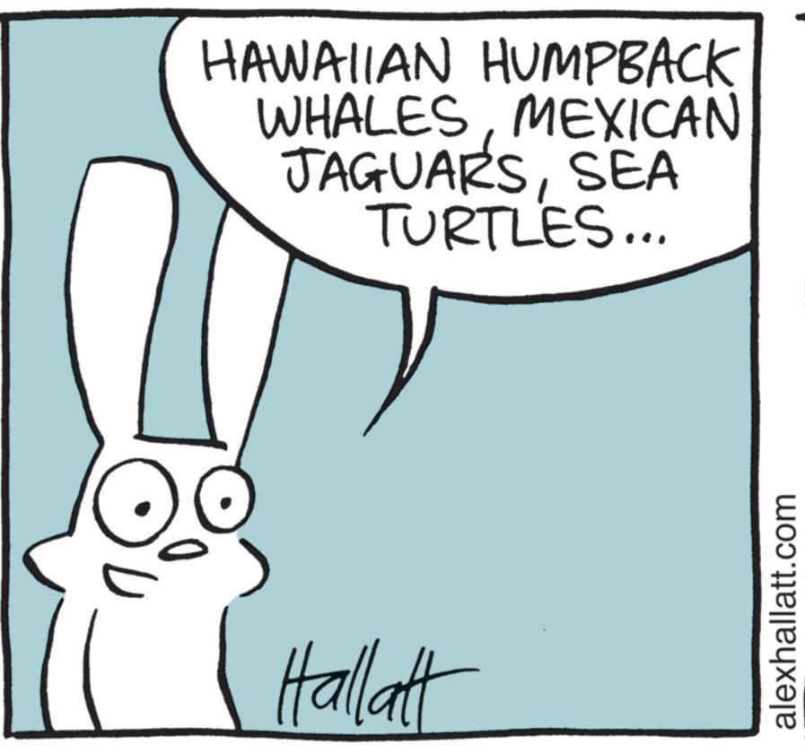 Fictional character OCR: HAWAIIAN HUMPBACK WHALESMEXICAN JAGUARSSEA TURTLES... Hallatt alexhallatt.com HAWAIIAN HUMPBACK WHALESMEXICAN JAGUARSSEA TURTLES ... Hallatt alexhallatt.com