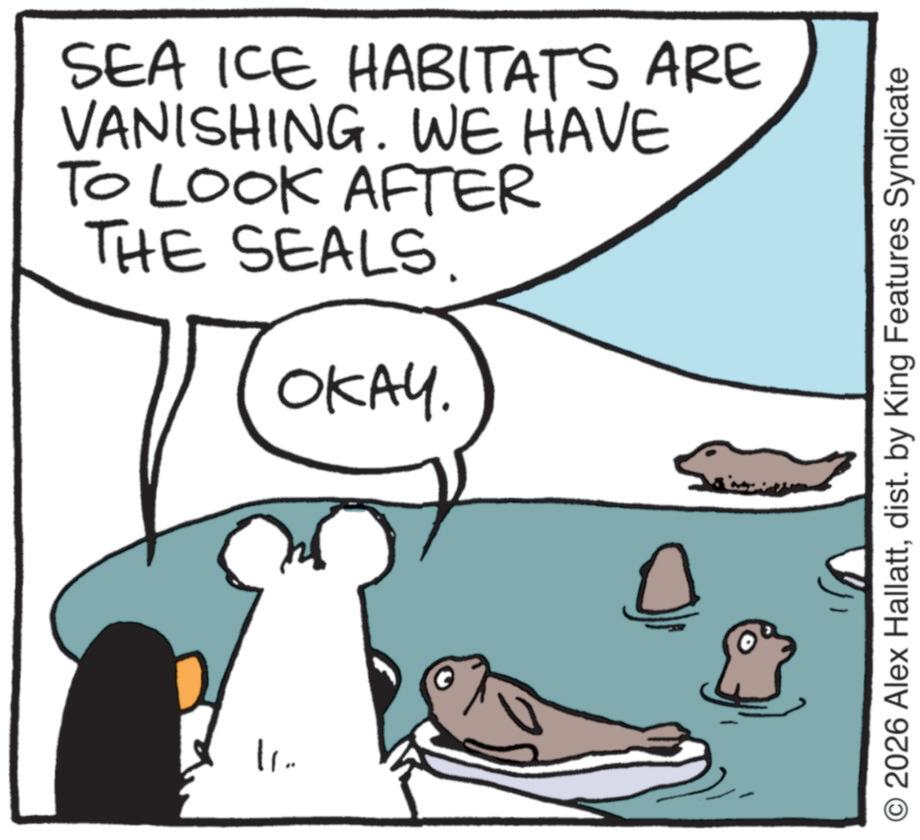 Flightless bird OCR: SEA ICE HABITATS ARE VANISHING. WE HAVE TO LOOK AFTER THE SEALS. OKAY. 11. ??? O2026 Alex Hallattdist. by King Features Syndicate SEA ICE HABITATS ARE VANISHING . WE HAVE TO LOOK AFTER THE SEALS . OKAY . 11 . ??? O2026 Alex Hallattdist . by King Features Syndicate
