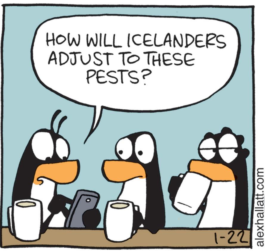 Photo caption OCR: HOW WILL ICELANDERS ADJUST TO THESE PESTS? 1-22 alexhallatt.com HOW WILL ICELANDERS ADJUST TO THESE PESTS ? 1-22 alexhallatt.com