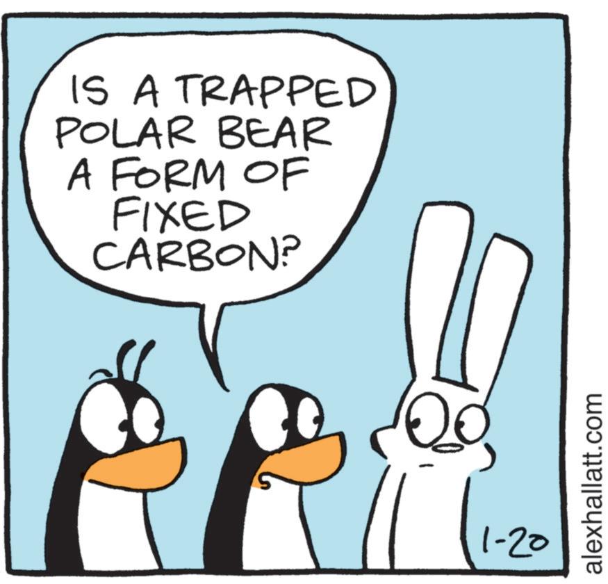 Line art OCR: IS A TRAPPED POLAR BEAR A FORM OF FIXED CARBON? 1-20 alexhallatt.com IS A TRAPPED POLAR BEAR A FORM OF FIXED CARBON ? 1-20 alexhallatt.com