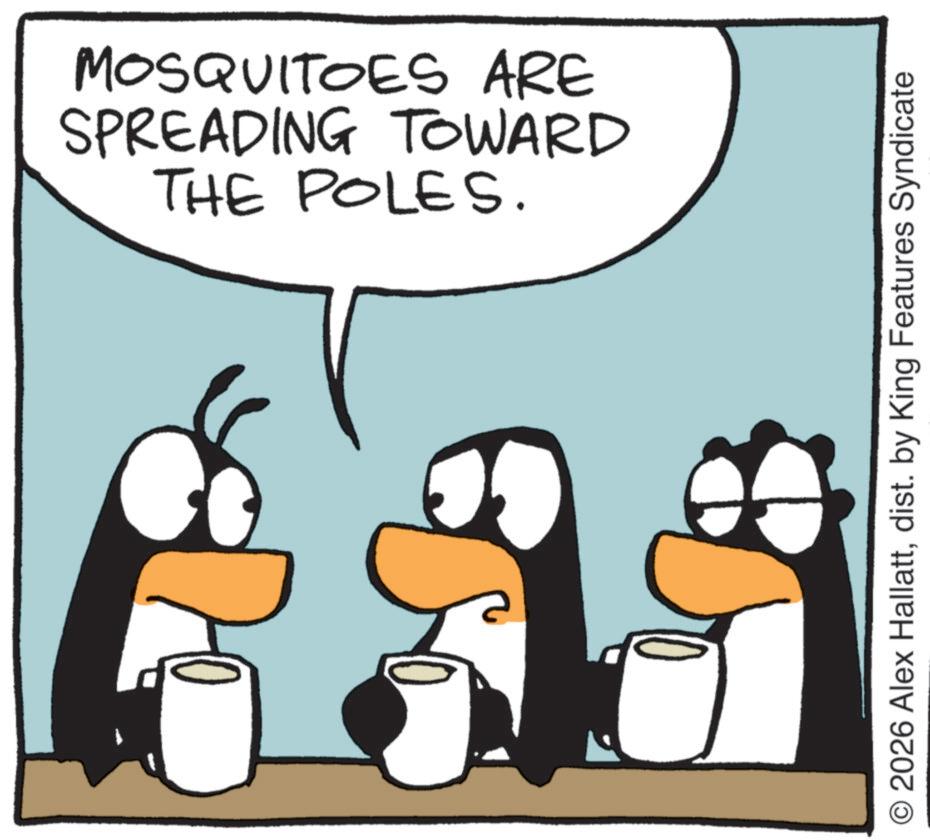 Photo caption OCR: THE POLES. SPREADING TOWARD MOSQUITOES ARE © 2026 Alex Hallattdist. by King Features Syndicate THE POLES . SPREADING TOWARD MOSQUITOES ARE © 2026 Alex Hallattdist . by King Features Syndicate