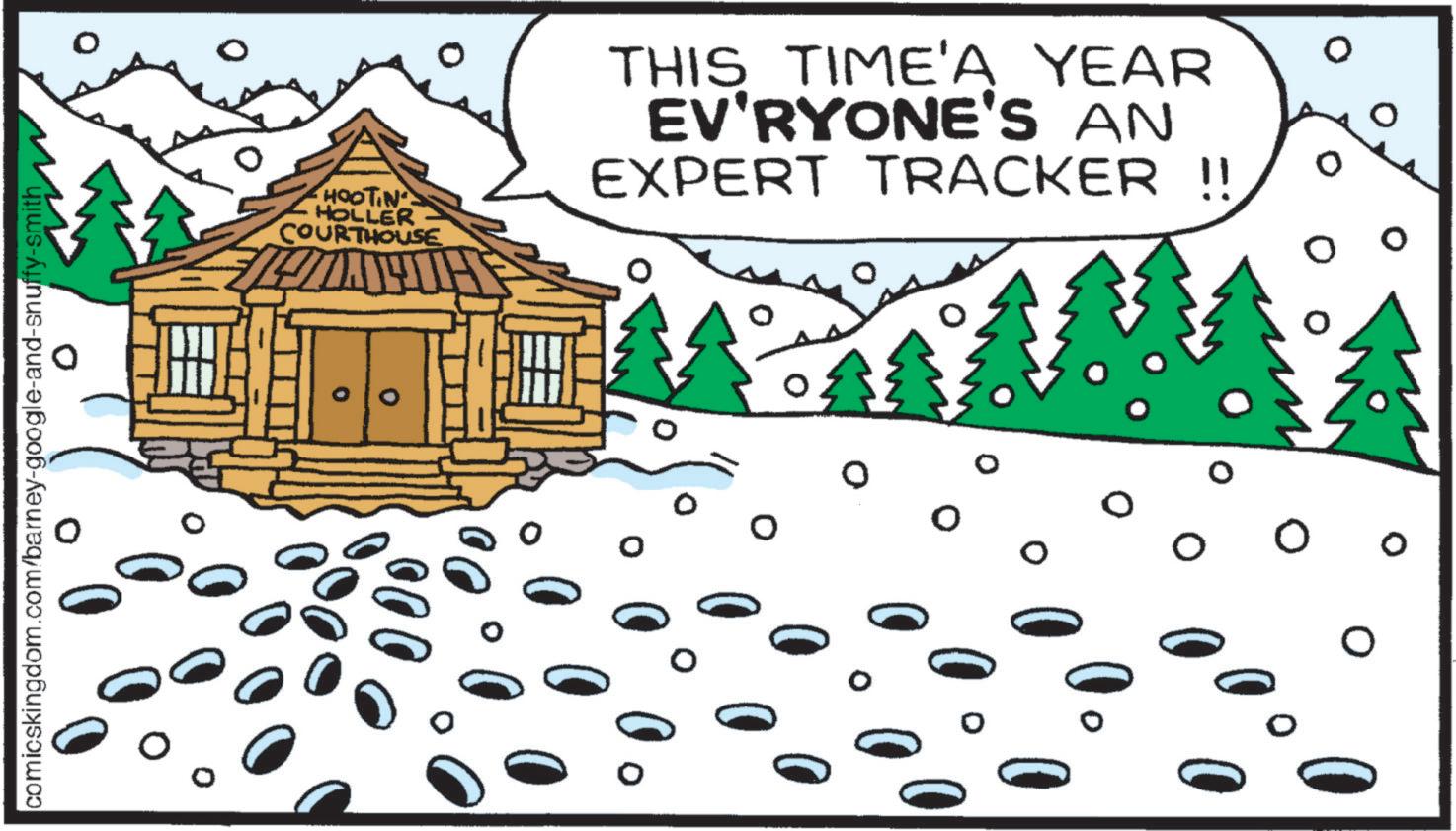 Pine family OCR: 0 comicskingdom.com/barney-google-and-snuffy-smith ? HOOTIN HOLLER COURTHOUSE THIS TIME'A YEAR EV'RYONE'S AN EXPERT TRACKER !! 0 00 0 0 comicskingdom.com/barney-google-and-snuffy-smith ? HOOTIN HOLLER COURTHOUSE THIS TIME'A YEAR EV'RYONE'S AN EXPERT TRACKER !! 0 00 0