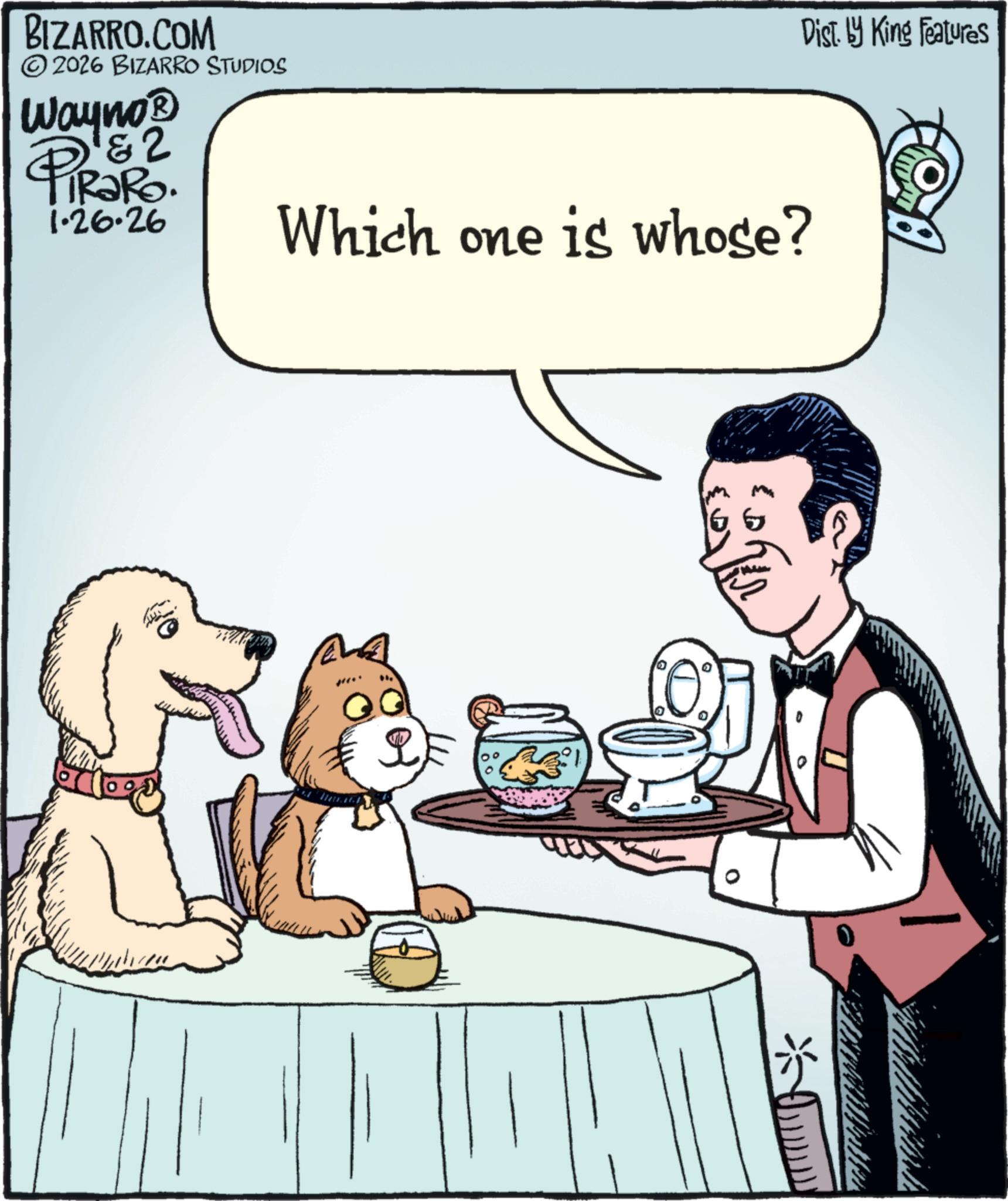 Canidae OCR: Dist. by King Features BIZARRO.COM © 2026 BIZARRO STUDIOS Wayno? 1&2 PiRaRo. 1.26.26 Which one is whose? 166 Dist . by King Features BIZARRO.COM © 2026 BIZARRO STUDIOS Wayno? 1 & 2 PiRaRo . 1.26.26 Which one is whose ? 166