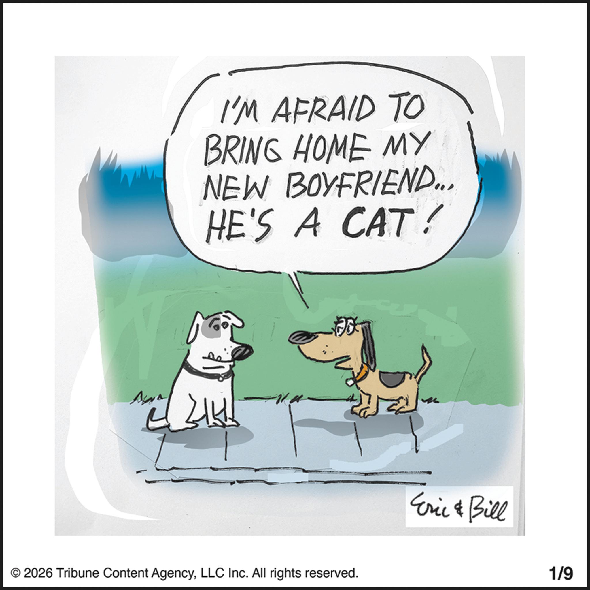 Photo caption OCR: I'M AFRAID TO BRING HOME MY NEW BOYFRIEND... HE'S A CAT! Awa 2144 © 2026 Tribune Content AgencyLLC Inc. All rights reserved. Eric & Bill 1/9 I'M AFRAID TO BRING HOME MY NEW BOYFRIEND ... HE'S A CAT ! Awa 2144 © 2026 Tribune Content AgencyLLC Inc. All rights reserved . Eric & Bill 1/9