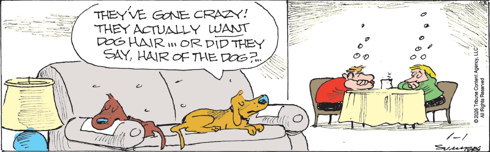 Paw OCR: THEY'VE GONE CRAZY! THEY ACTUALLY WANT DOG HAIR II OR DID THEY SAYHAIR OF THE DOG?... ' 1-1 Summers © 2026 Tribune Content AgencyLLC All Rights Reserved THEY'VE GONE CRAZY ! THEY ACTUALLY WANT DOG HAIR II OR DID THEY SAYHAIR OF THE DOG ? ... ' 1-1 Summers © 2026 Tribune Content AgencyLLC All Rights Reserved
