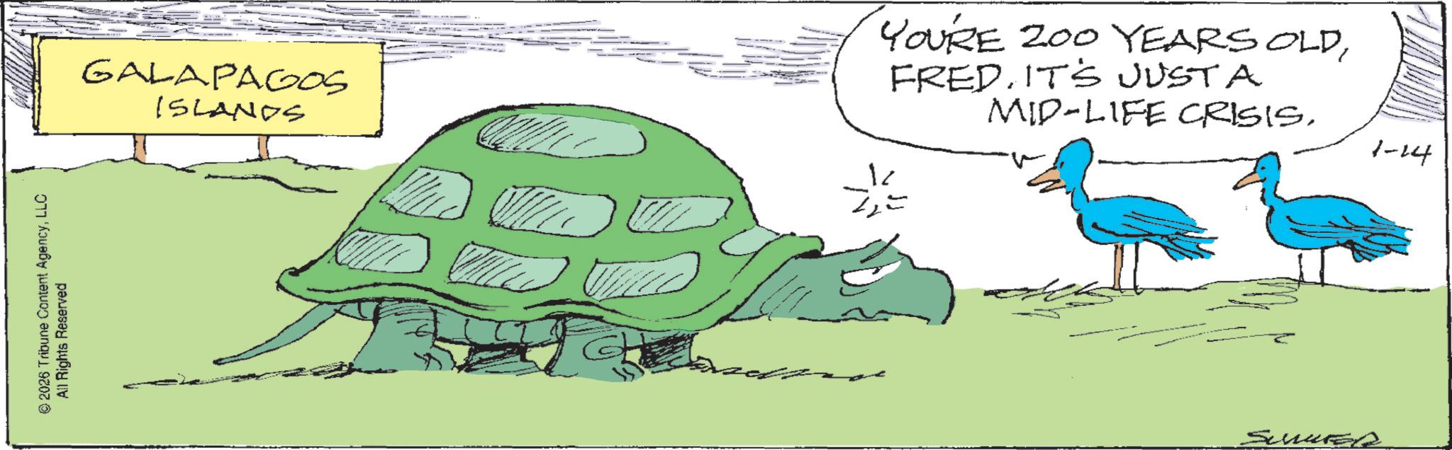 Turtle OCR: © 2026 Tribune Content AgencyLLC All Rights Reserved GALAPAGOS ISLANDS 1 YOURE 200 YEARS OLDFRED. IT'S JUSTA MID-LIFE CRISIS. Suurel 1-14 © 2026 Tribune Content AgencyLLC All Rights Reserved GALAPAGOS ISLANDS 1 YOURE 200 YEARS OLDFRED . IT'S JUSTA MID - LIFE CRISIS . Suurel 1-14