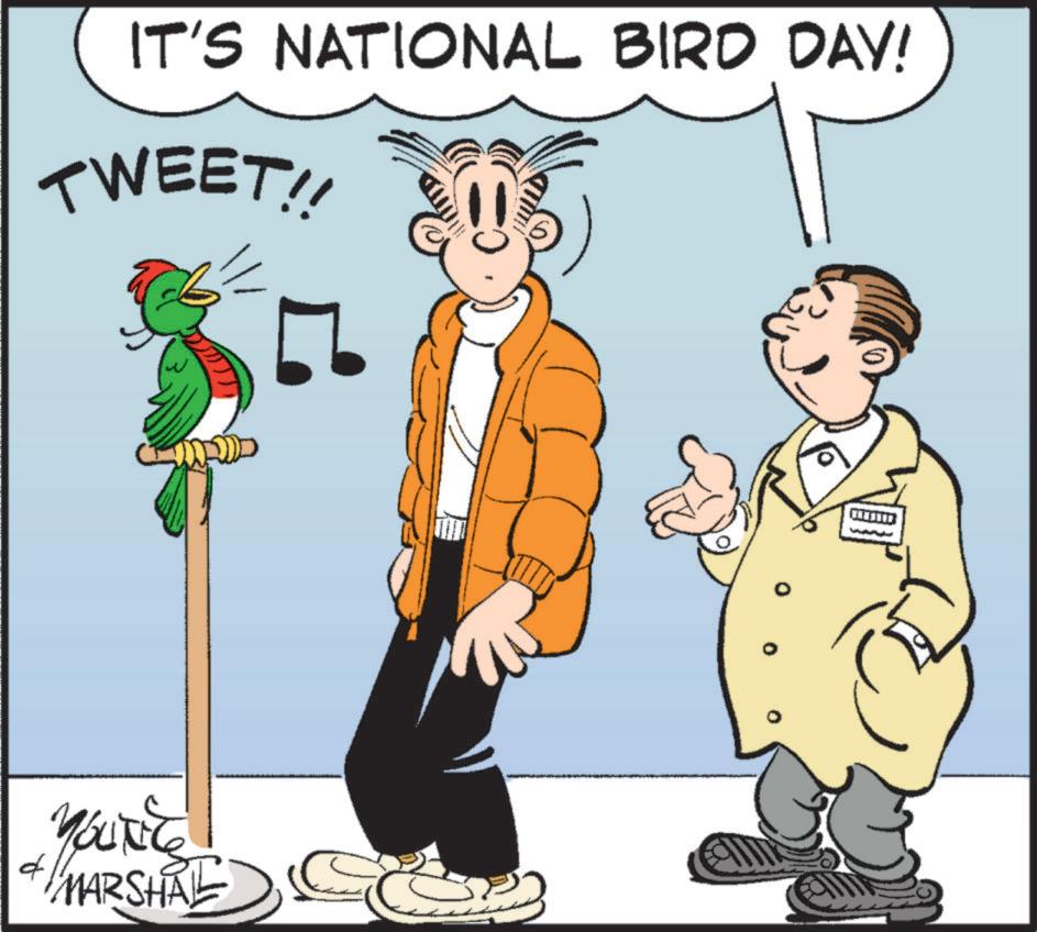 Comedy OCR: IT'S NATIONAL BIRD DAY! TWEET!! + MARSHAL IT'S NATIONAL BIRD DAY ! TWEET !! + MARSHAL