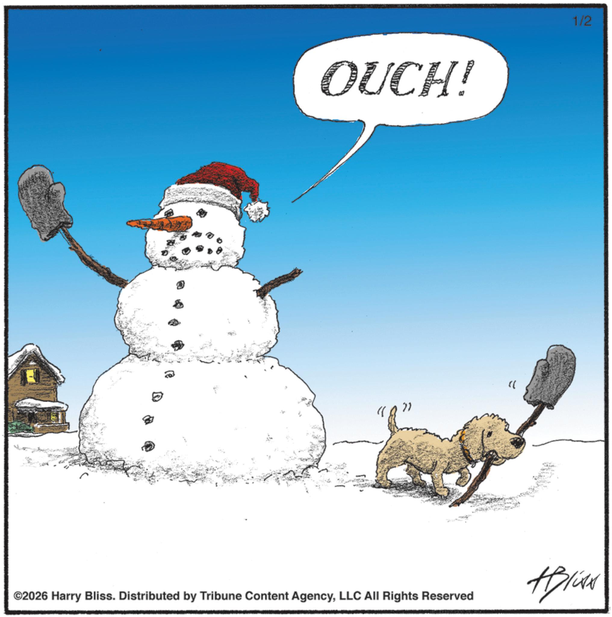 Snow OCR: OUCH! 27 " ©2026 Harry Bliss. Distributed by Tribune Content AgencyLLC All Rights Reserved 1/2 ABIGAN OUCH ! 27 " © 2026 Harry Bliss . Distributed by Tribune Content AgencyLLC All Rights Reserved 1/2 ABIGAN