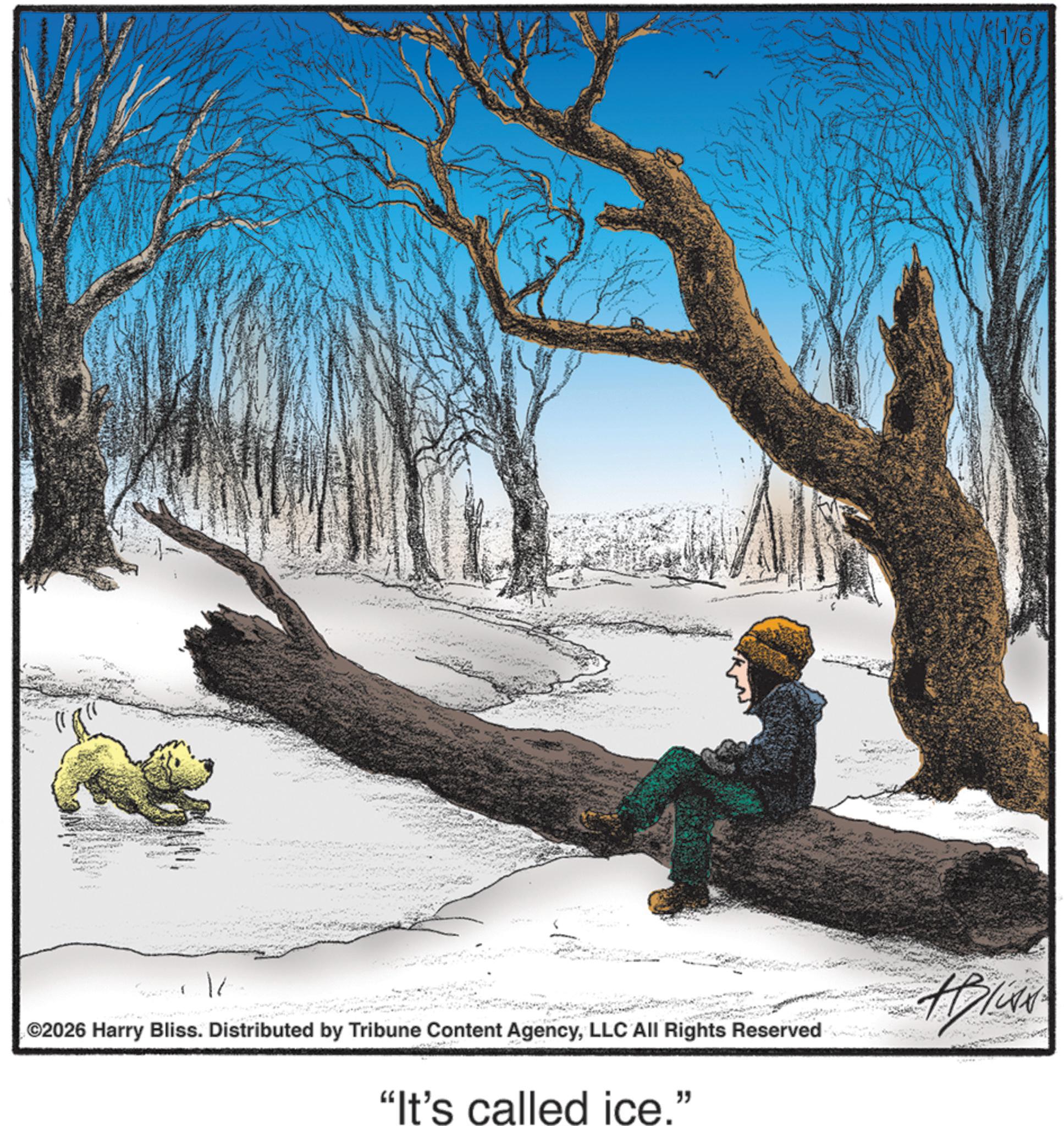 Graphics OCR: ©2026 Harry Bliss. Distributed by Tribune Content AgencyLLC All Rights Reserved "It's called ice." 1/67 © 2026 Harry Bliss . Distributed by Tribune Content AgencyLLC All Rights Reserved " It's called ice . " 1/67