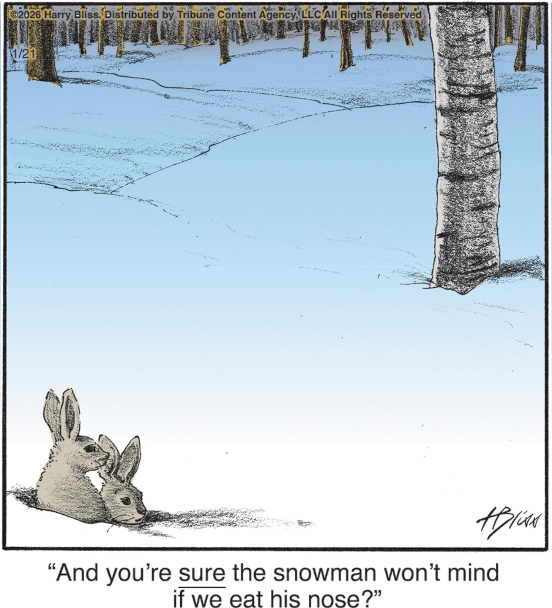 Snowshoe hare OCR: ©2026 Harry Bliss. Distributed by Tribune Content AgencyLLC All Rights Reserved 1/21 Aplian "And you're sure the snowman won't mind if we eat his nose?" © 2026 Harry Bliss . Distributed by Tribune Content AgencyLLC All Rights Reserved 1/21 Aplian " And you're sure the snowman won't mind if we eat his nose ? "