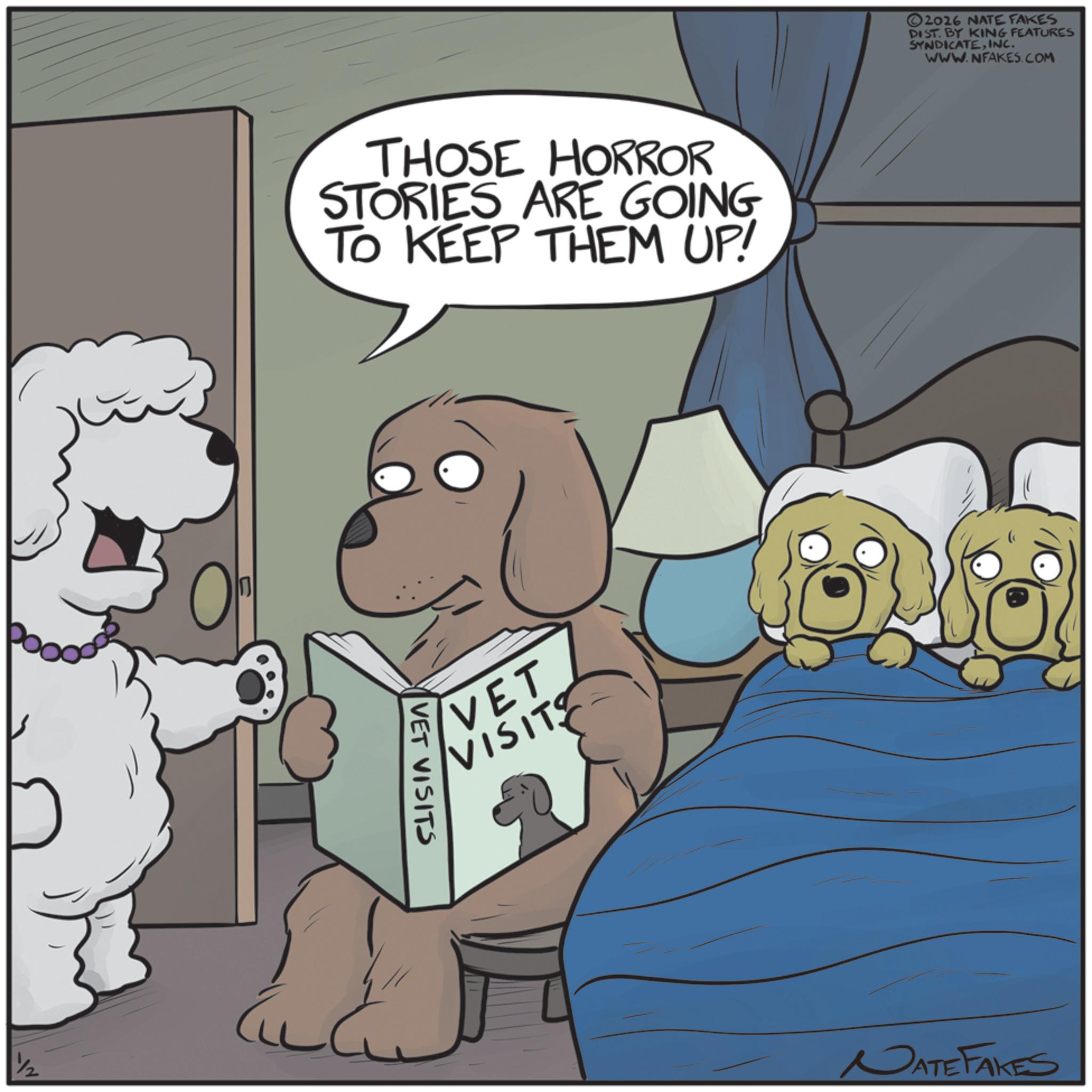 Photo caption OCR: 0 THOSE HORROR STORIES ARE GOING TO KEEP THEM UP! VET VISITS VET VISITS 2026 NATE FAKES DIST. BY KING FEATURES SYNDICATEINC. WWW.NFAKES.COM NATE FAKES 0 THOSE HORROR STORIES ARE GOING TO KEEP THEM UP ! VET VISITS VET VISITS 2026 NATE FAKES DIST . BY KING FEATURES SYNDICATEINC . WWW.NFAKES.COM NATE FAKES