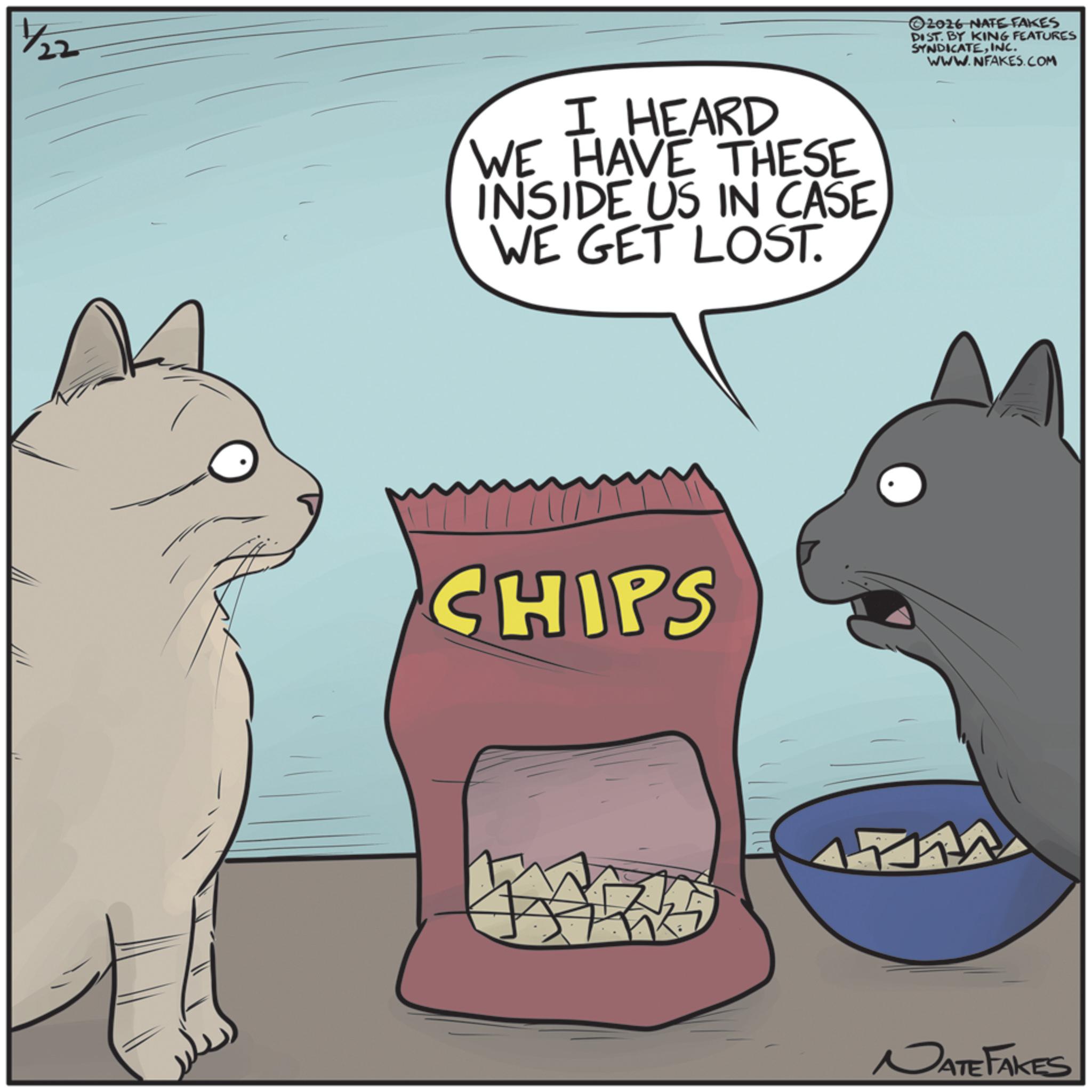 Food OCR: 1/22 I HEARD WE HAVE THESE INSIDE US IN CASE WE GET LOST. CHIPS ©2016 NATE FAKES DIST. BY KING FEATURES SYNDICATEINC. WWW.NFAKES.COM NATE FAKES 1/22 I HEARD WE HAVE THESE INSIDE US IN CASE WE GET LOST . CHIPS © 2016 NATE FAKES DIST . BY KING FEATURES SYNDICATEINC . WWW.NFAKES.COM NATE FAKES
