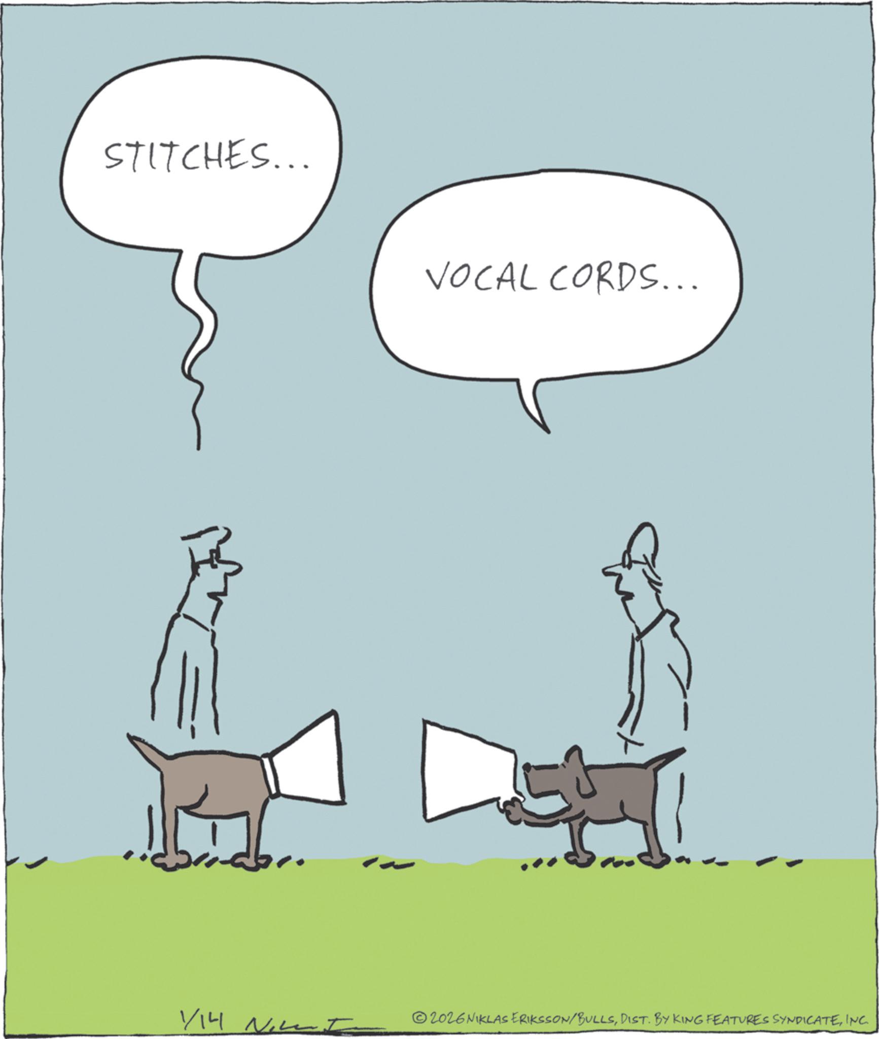 Pack animal OCR: STITCHES... VOCAL CORDS... 1/14 Now I 2026 NIKLAS ERIKSSON/BULLSINC. STITCHES ... VOCAL CORDS ... 1/14 Now I 2026 NIKLAS ERIKSSON / BULLSDIST . BY KING FEATURES SYNDICATEINC .