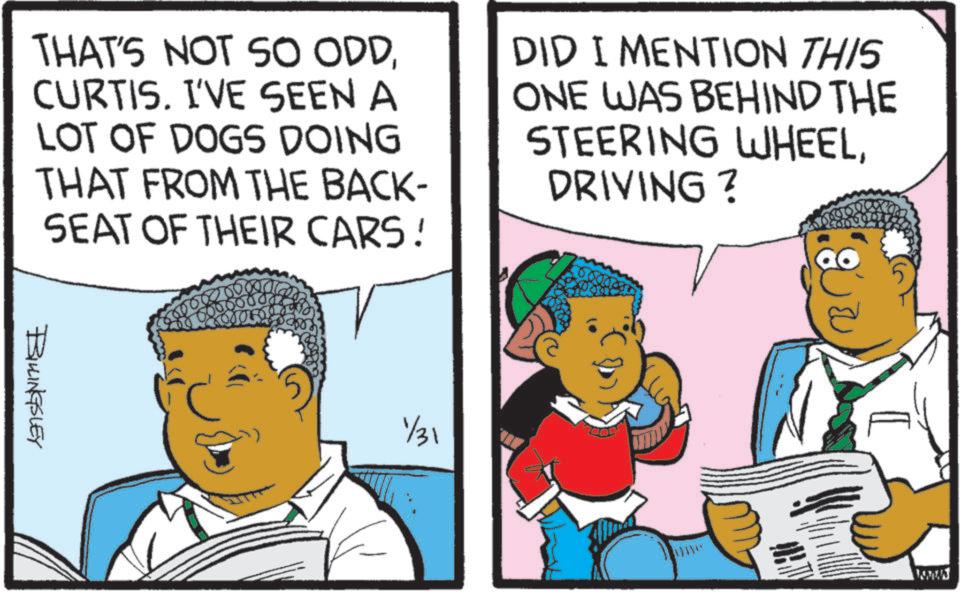 Animation OCR: THAT'S NOT SO ODDCURTIS. I'VE SEEN A LOT OF DOGS DOING THAT FROM THE BACK- SEAT OF THEIR CARS! 00000 KOJOFO DID I MENTION THIS ONE WAS BEHIND THE STEERING WHEELDRIVING ? BILLINGSLEY 1/31 THAT'S NOT SO ODDCURTIS . I'VE SEEN A LOT OF DOGS DOING THAT FROM THE BACK- SEAT OF THEIR CARS ! 00000 KOJOFO DID I MENTION THIS ONE WAS BEHIND THE STEERING WHEELDRIVING ? BILLINGSLEY 1/31