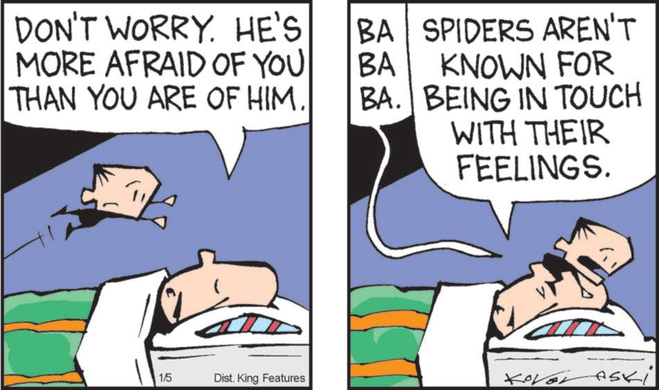 Graphics OCR: DON'T WORRY. HE'S MORE AFRAID OF YOU THAN YOU ARE OF HIM. BA SPIDERS AREN'T BA KNOWN FOR BA. BEING IN TOUCH WITH THEIR FEELINGS. 1/5 Dist. King Features Kover Aski DON'T WORRY . HE'S MORE AFRAID OF YOU THAN YOU ARE OF HIM . BA SPIDERS AREN'T BA KNOWN FOR BA . BEING IN TOUCH WITH THEIR FEELINGS . 1/5 Dist . King Features Kover Aski
