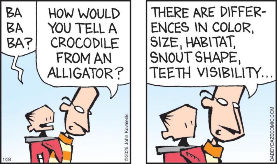 Animation OCR: 1/28 BA BA BA? HOW WOULD YOU TELL A CROCODILE FROM AN ALLIGATOR? THERE ARE DIFFER- ENCES IN COLOR. SIZETEETH VISIBILITY... ©2026 John Kovaleski DADDYDAZECOMIC.COM 1/28 BA BA BA ? HOW WOULD YOU TELL A CROCODILE FROM AN ALLIGATOR ? THERE ARE DIFFER- ENCES IN COLOR . SIZESNOUT SHAPETEETH VISIBILITY ... © 2026 John Kovaleski DADDYDAZECOMIC.COM