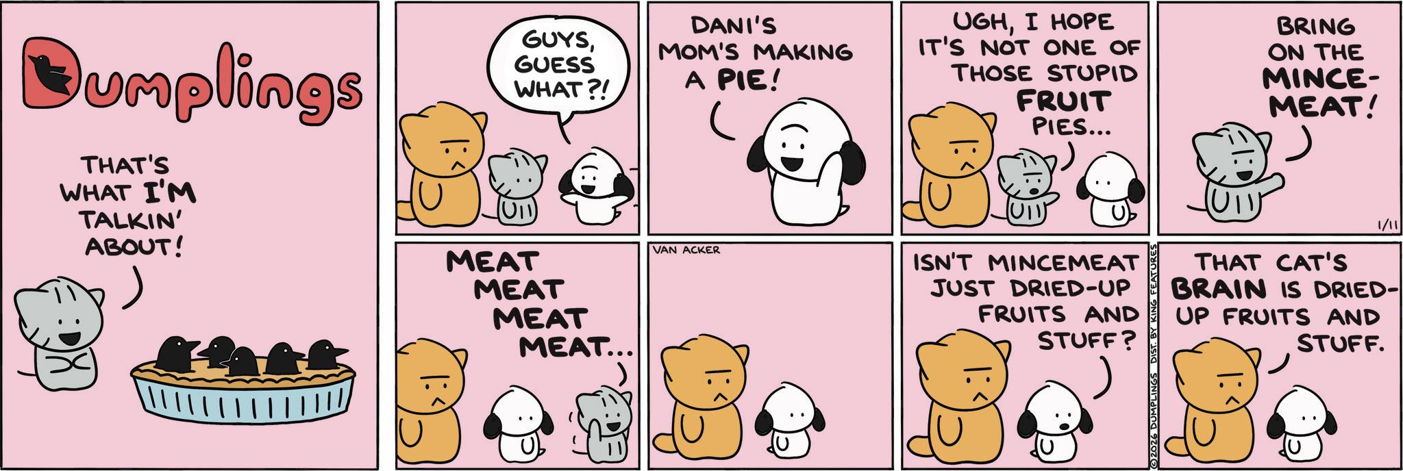 Photo caption OCR: Dumplings THAT'S WHAT I'M TALKIN' ABOUT! DANI'S GUYSGUESS WHAT?! MOM'S MAKING A PIE! MEAT MEAT MEAT MEAT...VAN ACKER UGHI HOPE IT'S NOT ONE OF THOSE STUPID FRUIT PIES... BRING ON THE MINCE- MEAT! (U11) ISN'T MINCEMEAT JUST DRIED-UP FRUITS AND STUFF? 2026 DUMPLINGS 1/11 THAT CAT'S BRAIN IS DRIED- UP FRUITS AND STUFF. Dumplings THAT'S WHAT I'M TALKIN ' ABOUT ! DANI'S GUYSGUESS WHAT ?! MOM'S MAKING A PIE ! MEAT MEAT MEAT MEAT ...VAN ACKER UGHI HOPE IT'S NOT ONE OF THOSE STUPID FRUIT PIES ... BRING ON THE MINCE- MEAT ! ( U11 ) ISN'T MINCEMEAT JUST DRIED - UP FRUITS AND STUFF ? 2026 DUMPLINGS 1/11 THAT CAT'S BRAIN IS DRIED- UP FRUITS AND STUFF .