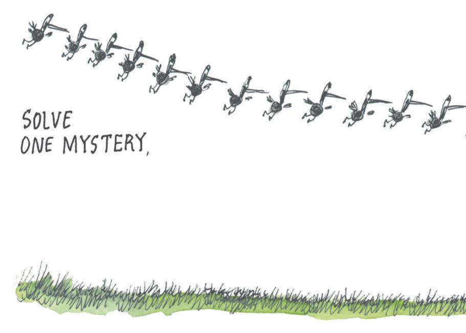 OCR: SOLVE ONE MYSTERYSOLVE ONE MYSTERY