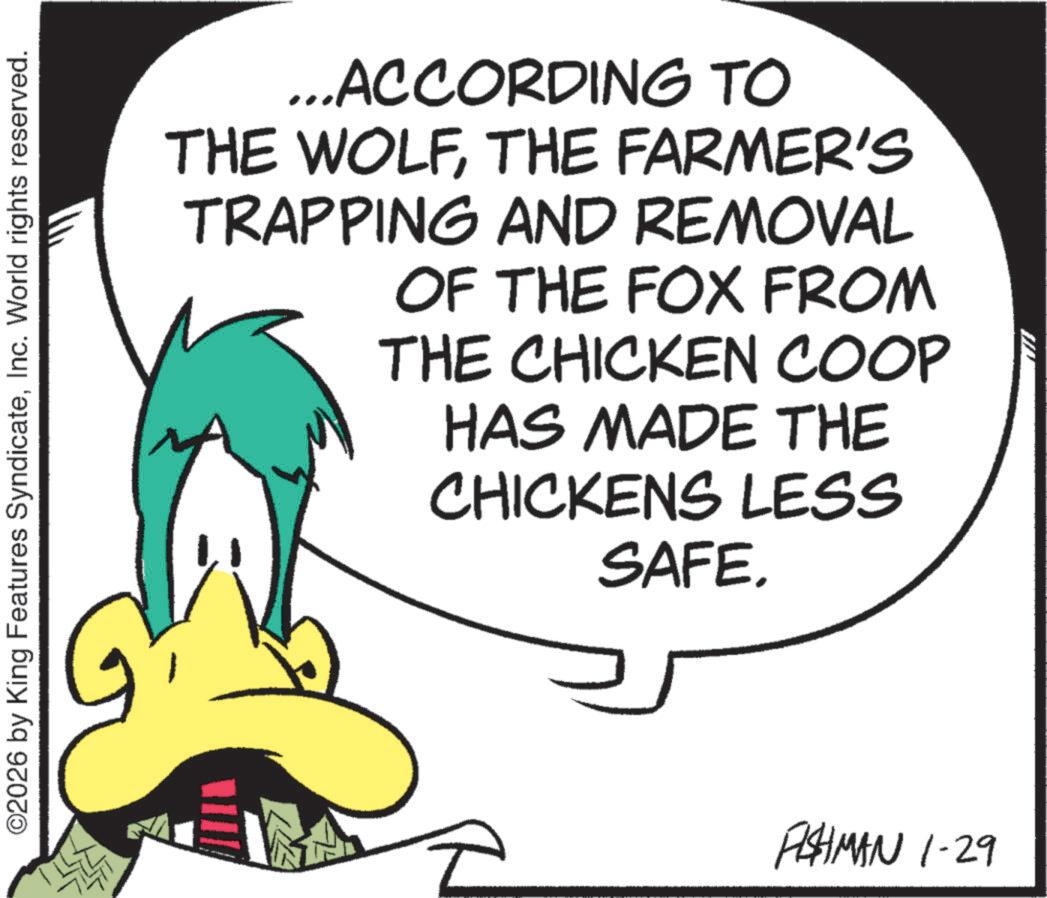 Comic book OCR: ©2026 by King Features SyndicateInc. World rights reserved. ...ACCORDING TO THE WOLFTHE FARMER'S TRAPPING AND REMOVAL OF THE FOX FROM THE CHICKEN COOP HAS MADE THE CHICKENS LESS SAFE. FISHMAN 1.29 © 2026 by King Features SyndicateInc. World rights reserved . ... ACCORDING TO THE WOLFTHE FARMER'S TRAPPING AND REMOVAL OF THE FOX FROM THE CHICKEN COOP HAS MADE THE CHICKENS LESS SAFE . FISHMAN 1.29