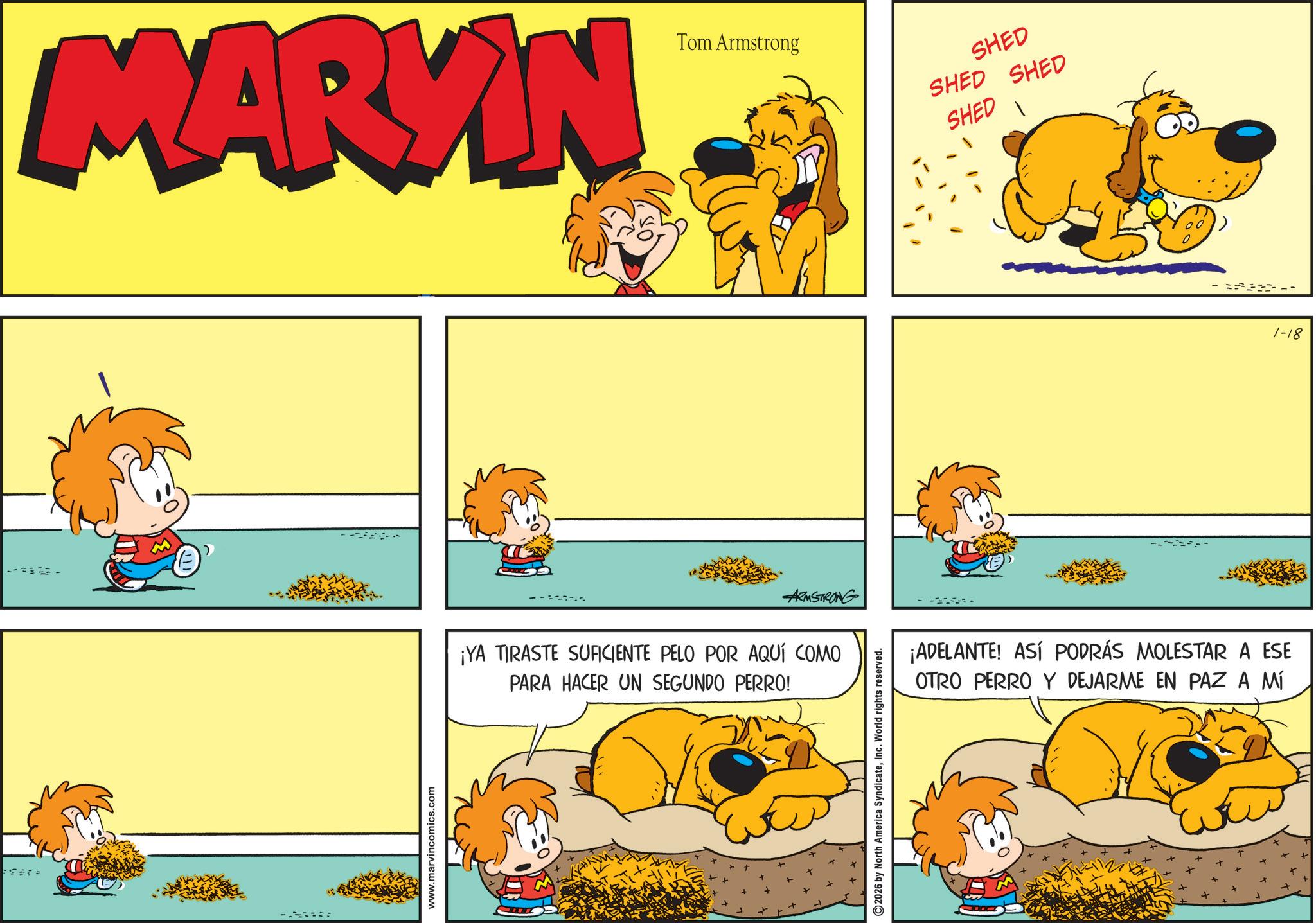 Happiness OCR: * MARYIN Tom Armstrong SHED SHED SHED SHED www.marvincomics.com ARMSTRONG ¡YA TIRASTE SUFICIENTE PELO POR AQUÍ COMO PARA HACER UN SEGUNDO PERRO! 2026 by North America SyndicateInc. World rights reserved. ¡ADELANTE! ASÍ PODRÁS MOLESTAR A ESE OTRO PERRO Y DEJARME EN PAZ A MÍ 1-18 * MARYIN Tom Armstrong SHED SHED SHED SHED www.marvincomics.com ARMSTRONG ¡ YA TIRASTE SUFICIENTE PELO POR AQUÍ COMO PARA HACER UN SEGUNDO PERRO ! 2026 by North America SyndicateInc. World rights reserved . ¡ ADELANTE ! ASÍ PODRÁS MOLESTAR A ESE OTRO PERRO Y DEJARME EN PAZ A MÍ 1-18