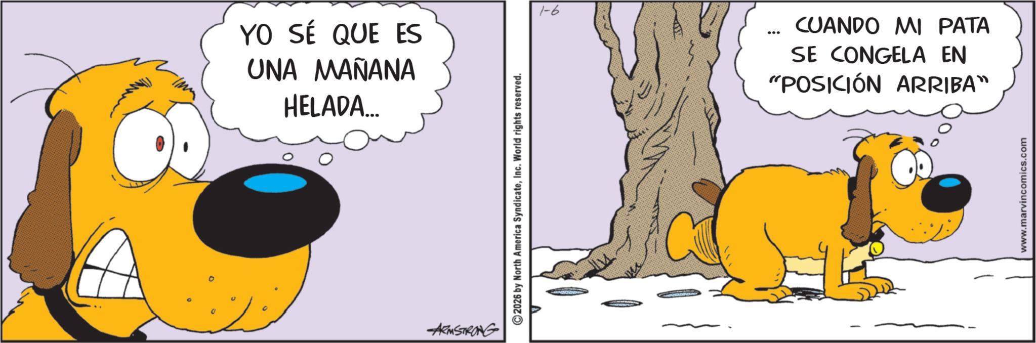 Marvin (Spanish) - 2026-01-27