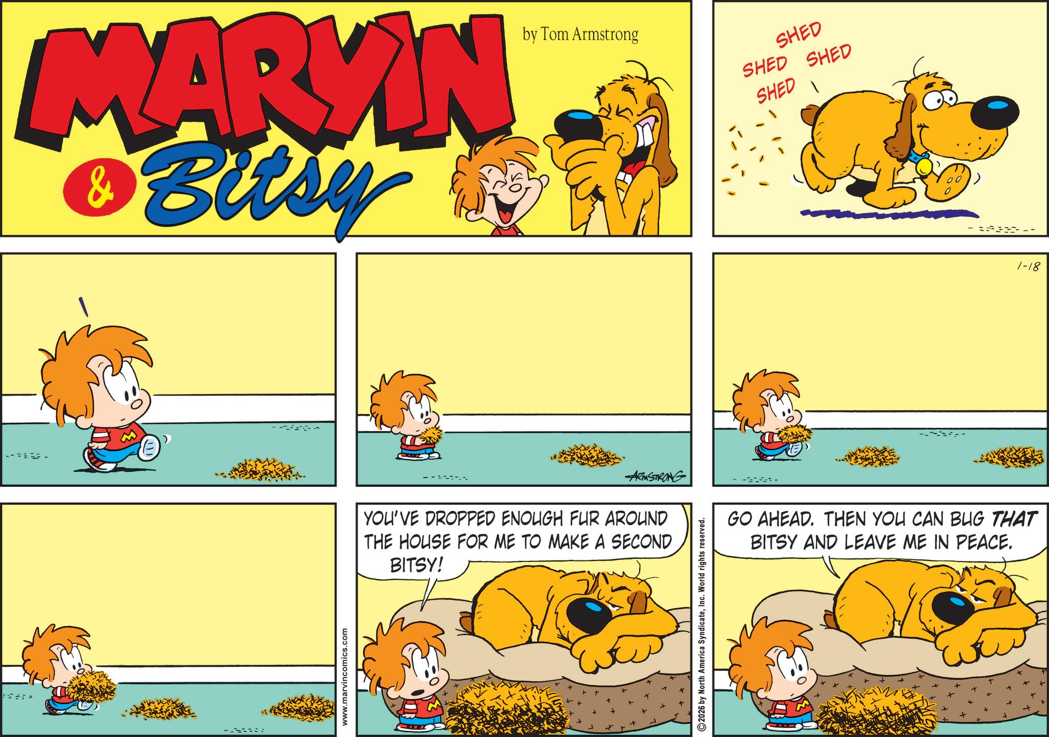Comic book OCR: MARKIN Bitsy & www.marvincomics.com --2-- by Tom Armstrong SHED SHED SHED SHED ARMSTRONG YOU'VE DROPPED ENOUGH FUR AROUND THE HOUSE FOR ME TO MAKE A SECOND BITSY! 2026 by North America SyndicateInc. World rights reserved. -- GO AHEAD. THEN YOU CAN BUG THAT BITSY AND LEAVE ME IN PEACE. 1-18 MARKIN Bitsy & www.marvincomics.com --2-- by Tom Armstrong SHED SHED SHED SHED ARMSTRONG YOU'VE DROPPED ENOUGH FUR AROUND THE HOUSE FOR ME TO MAKE A SECOND BITSY ! 2026 by North America SyndicateInc. World rights reserved . -- GO AHEAD . THEN YOU CAN BUG THAT BITSY AND LEAVE ME IN PEACE . 1-18